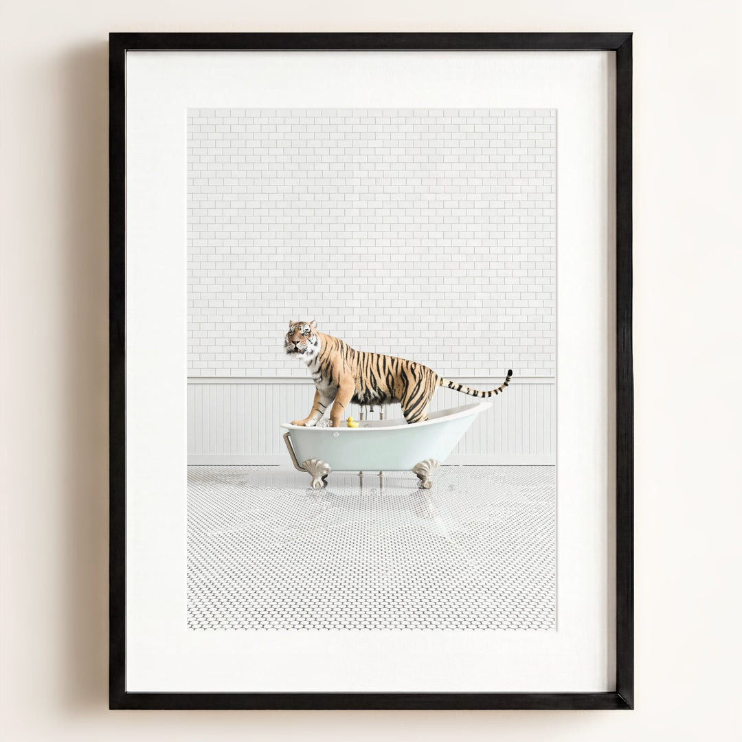 Tiger in Blue Bathtub