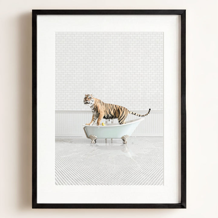 Tiger in Blue Bathtub