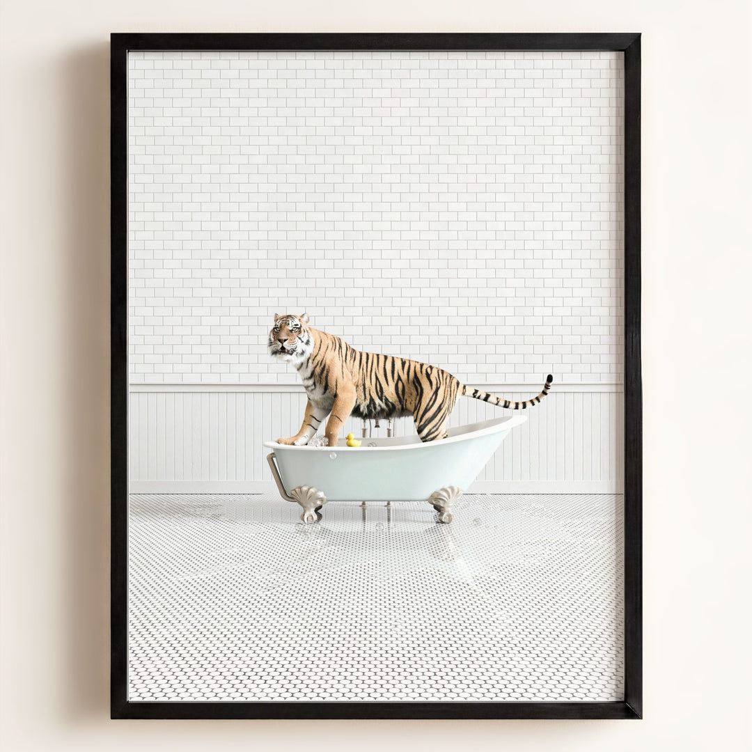 Tiger in Blue Bathtub