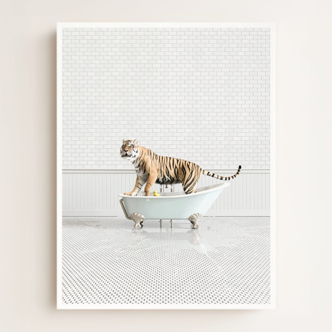 Tiger in Blue Bathtub