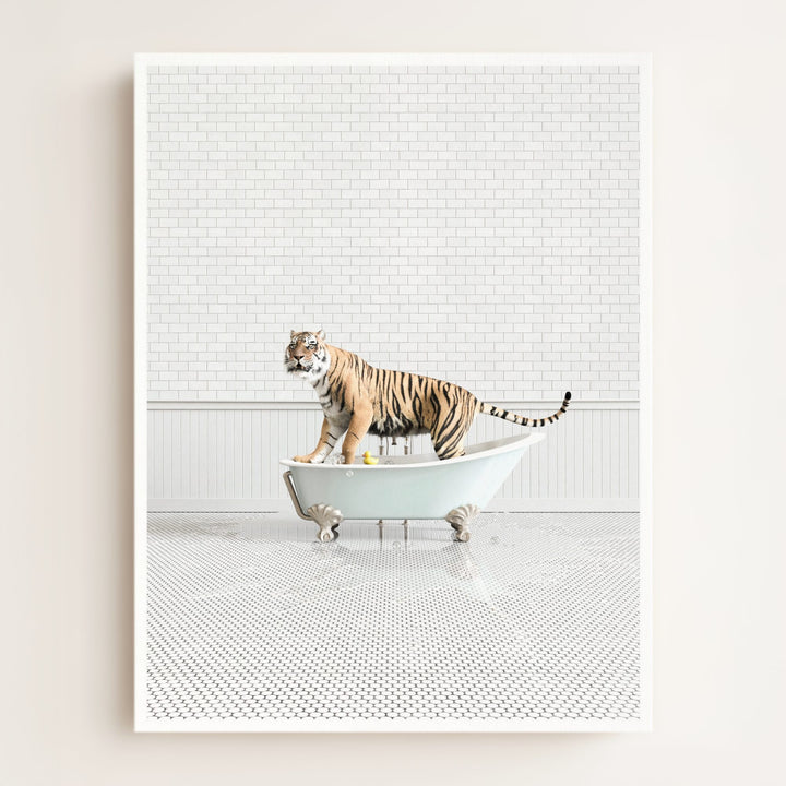 Tiger in Blue Bathtub