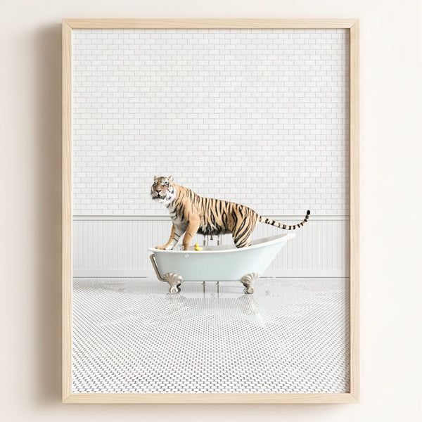 Tiger in Blue Bathtub – Framed
