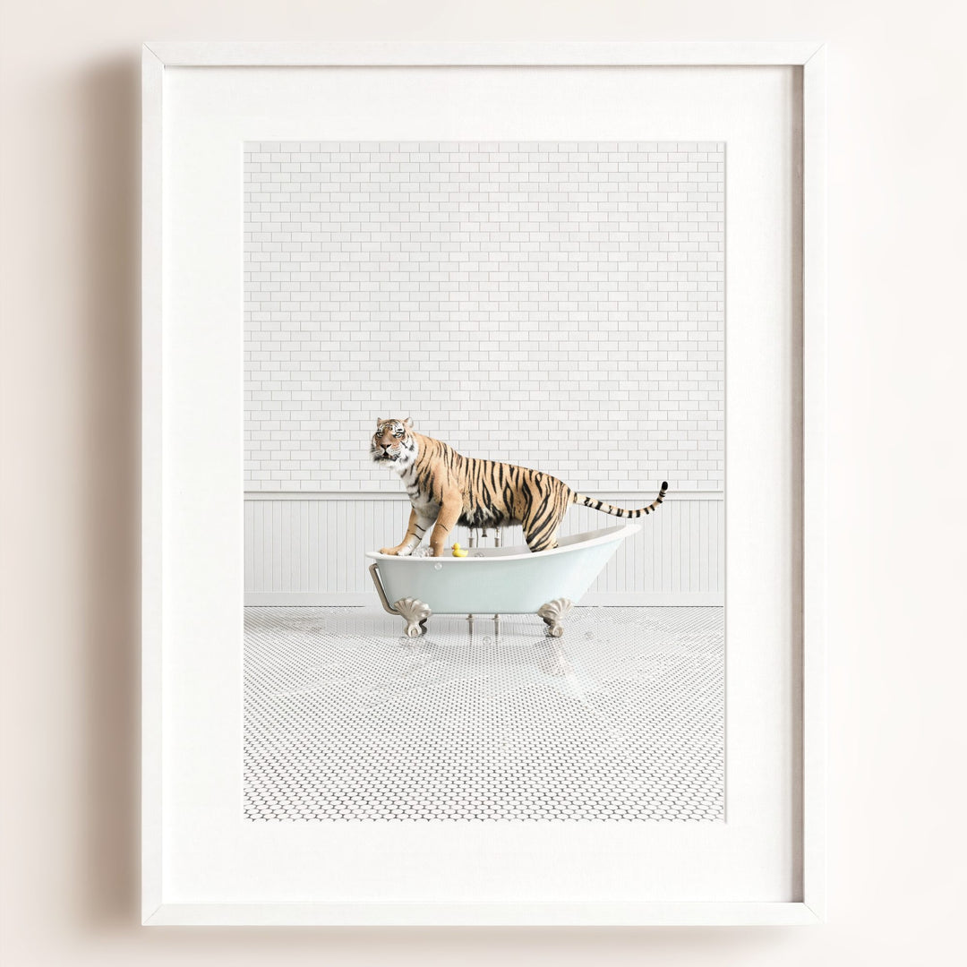 Tiger in Blue Bathtub
