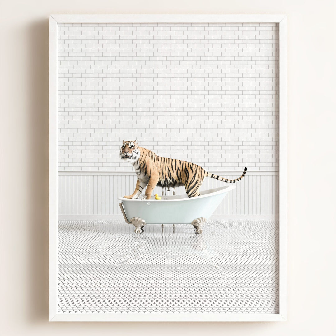 Tiger in Blue Bathtub