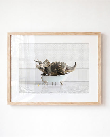 Triceratops in Blue Bathtub