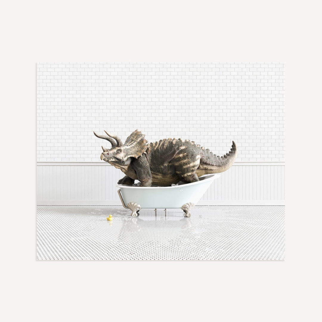 Triceratops in Blue Bathtub