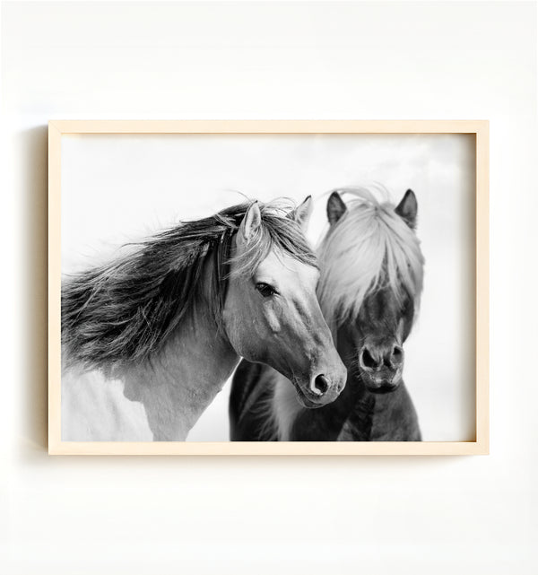 Two horses — Framed