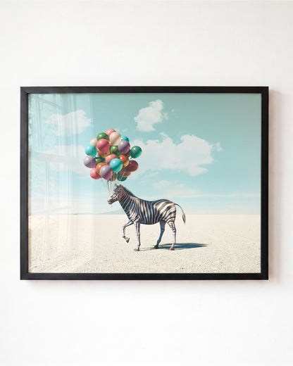 Up, Up & Away Collection