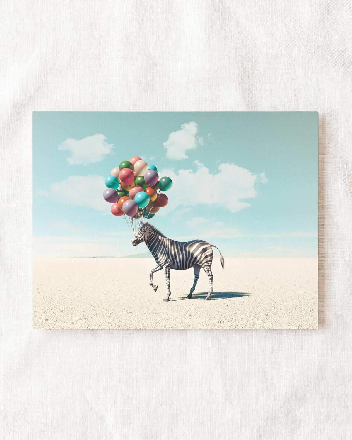Up, Up & Away Collection