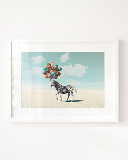Up, Up & Away Collection
