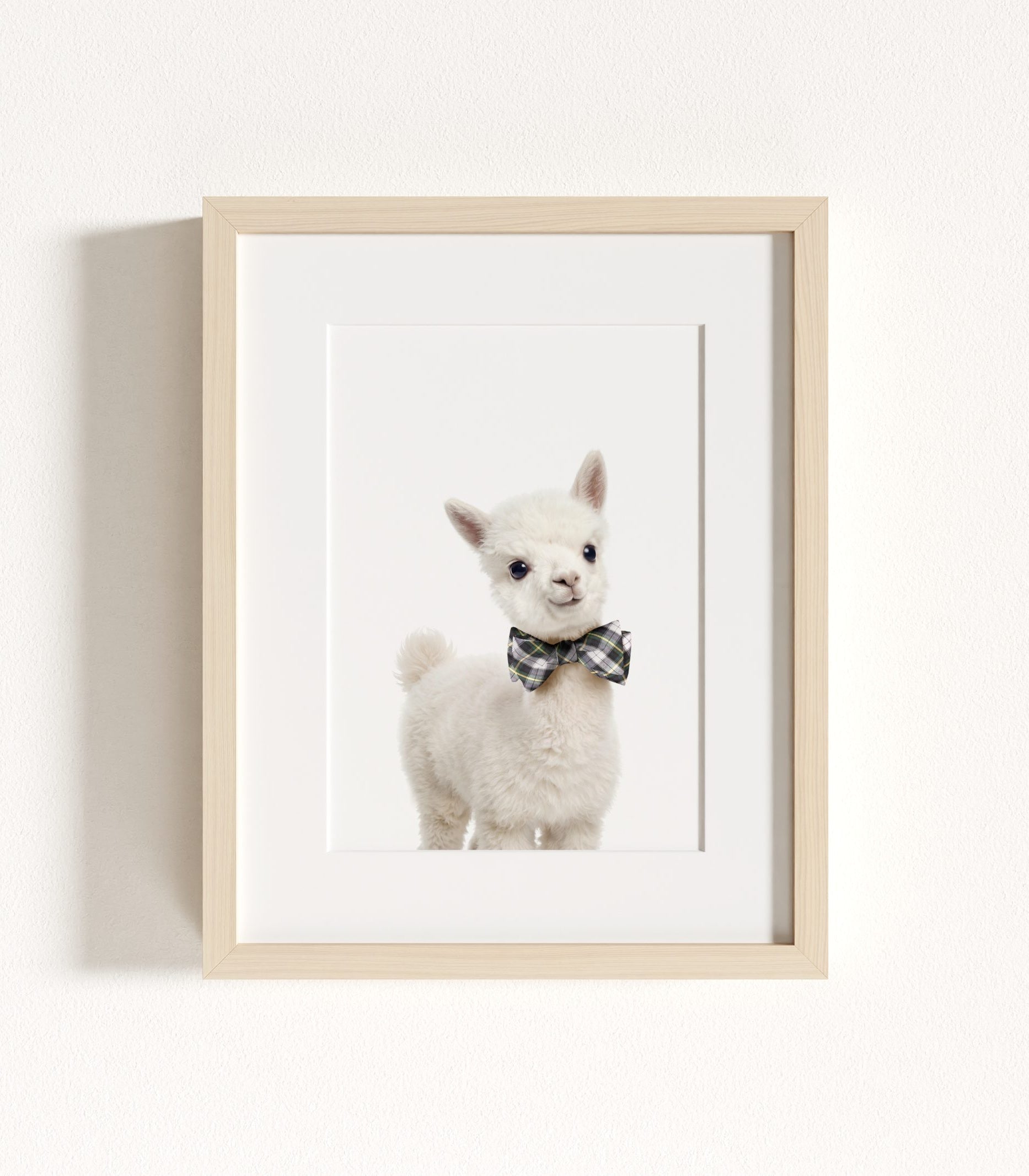 The Baby Animals 2026 Collection - Bow Ties