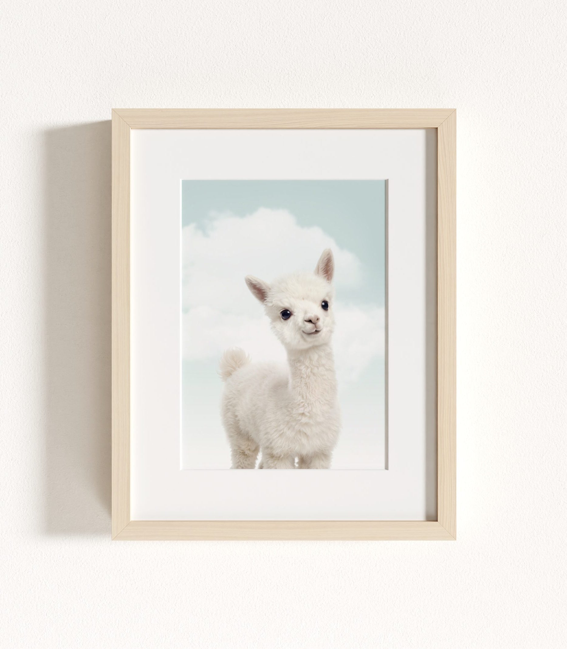 The Baby Animals 2026 Collection - Blue Skies