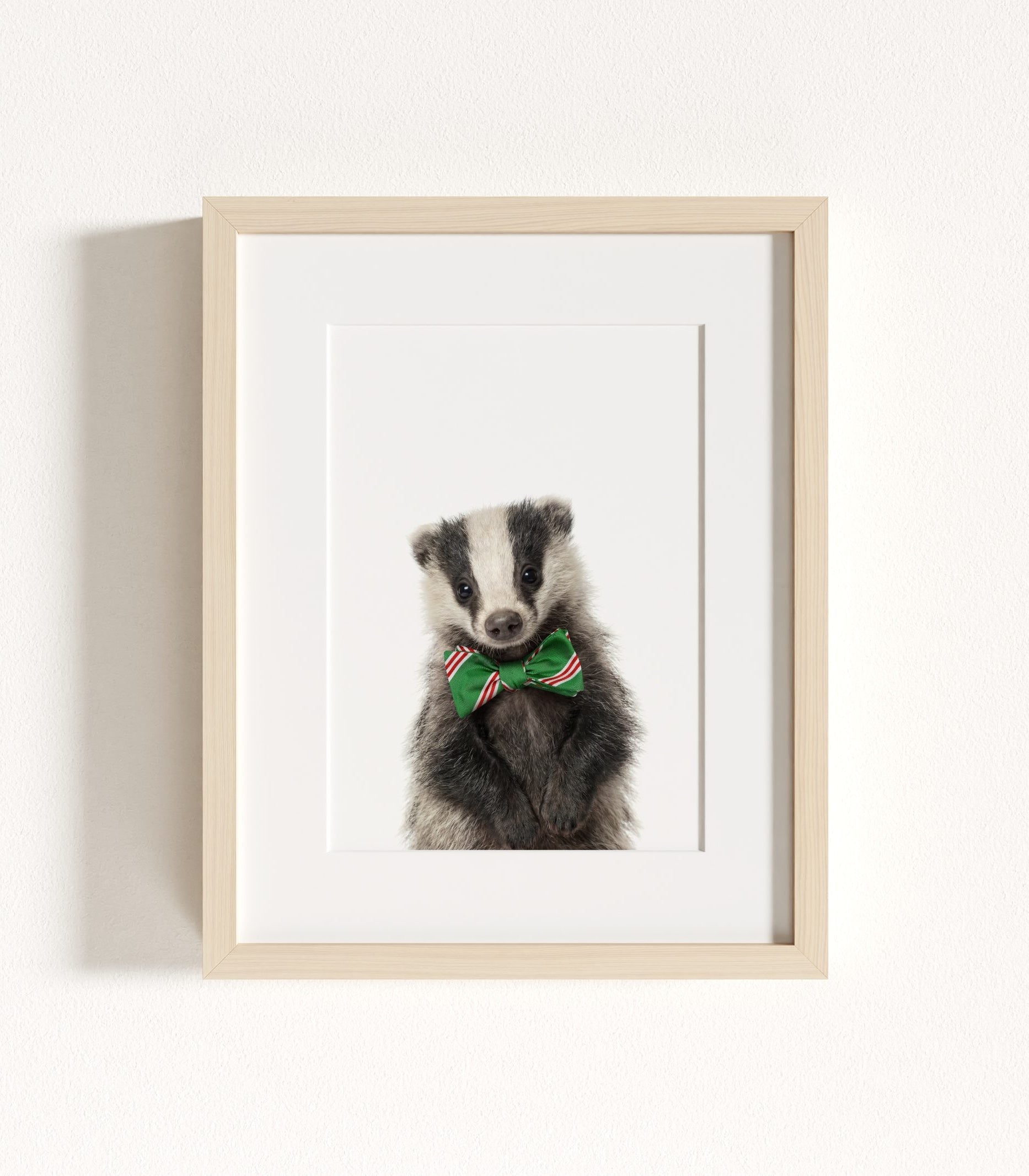 The Baby Animals 2026 Collection - Bow Ties