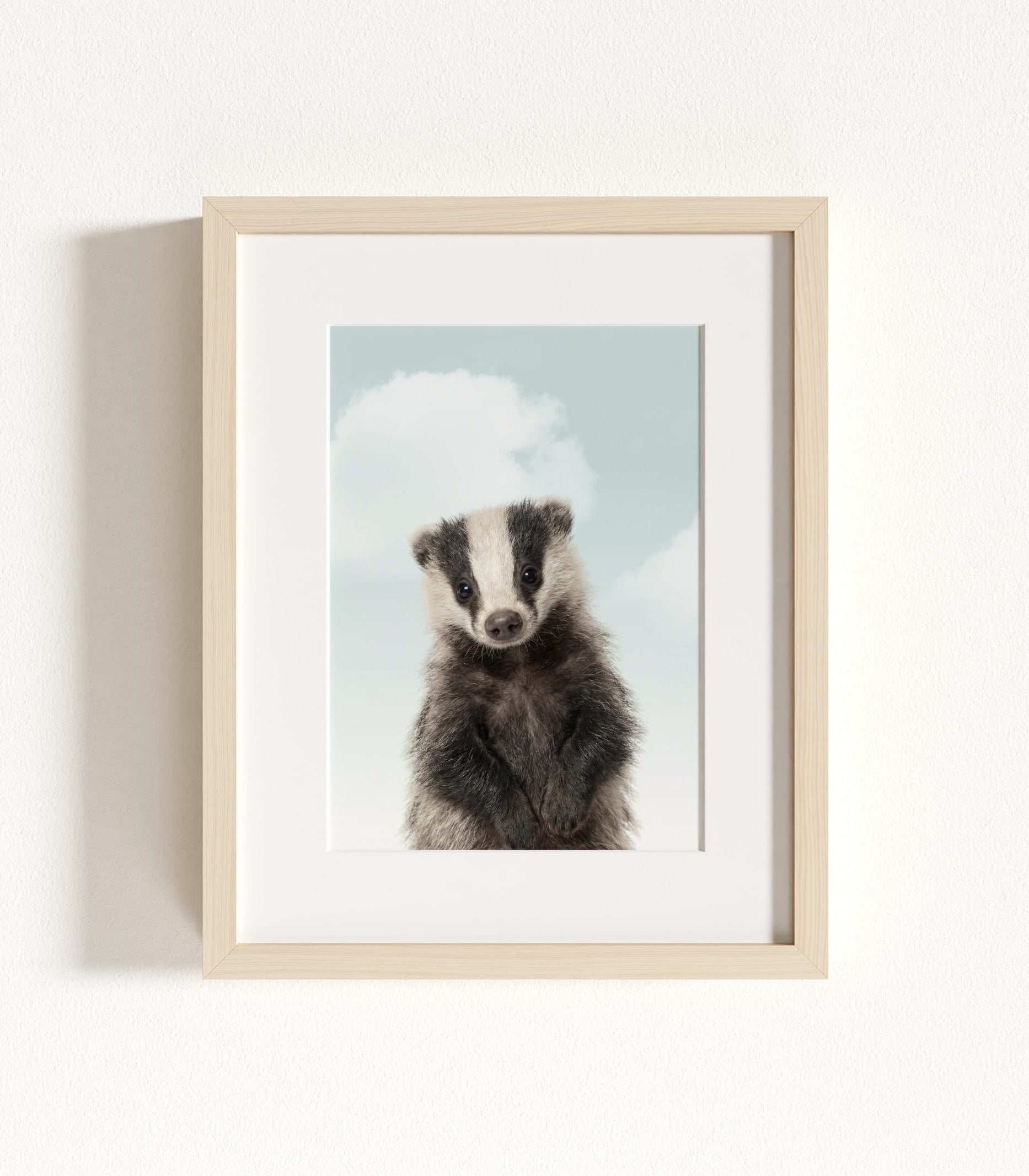 The Baby Animals 2026 Collection - Blue Skies