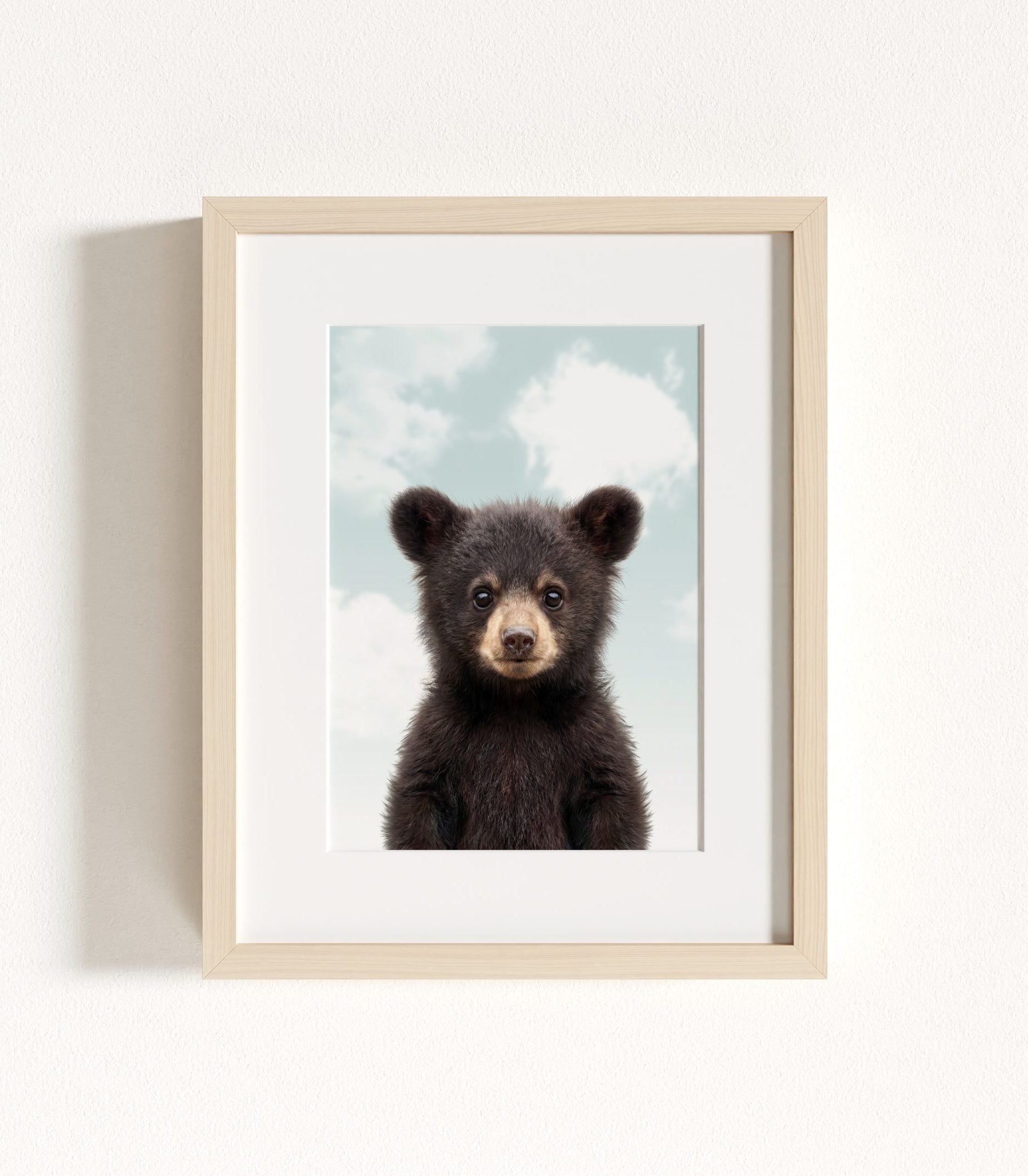 The Baby Animals 2026 Collection - Blue Skies