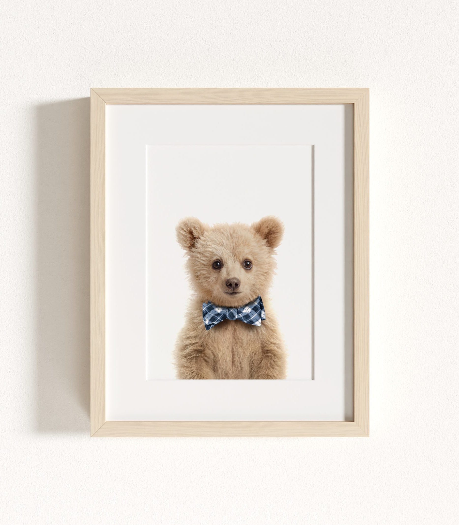 The Baby Animals 2026 Collection - Bow Ties in Blue