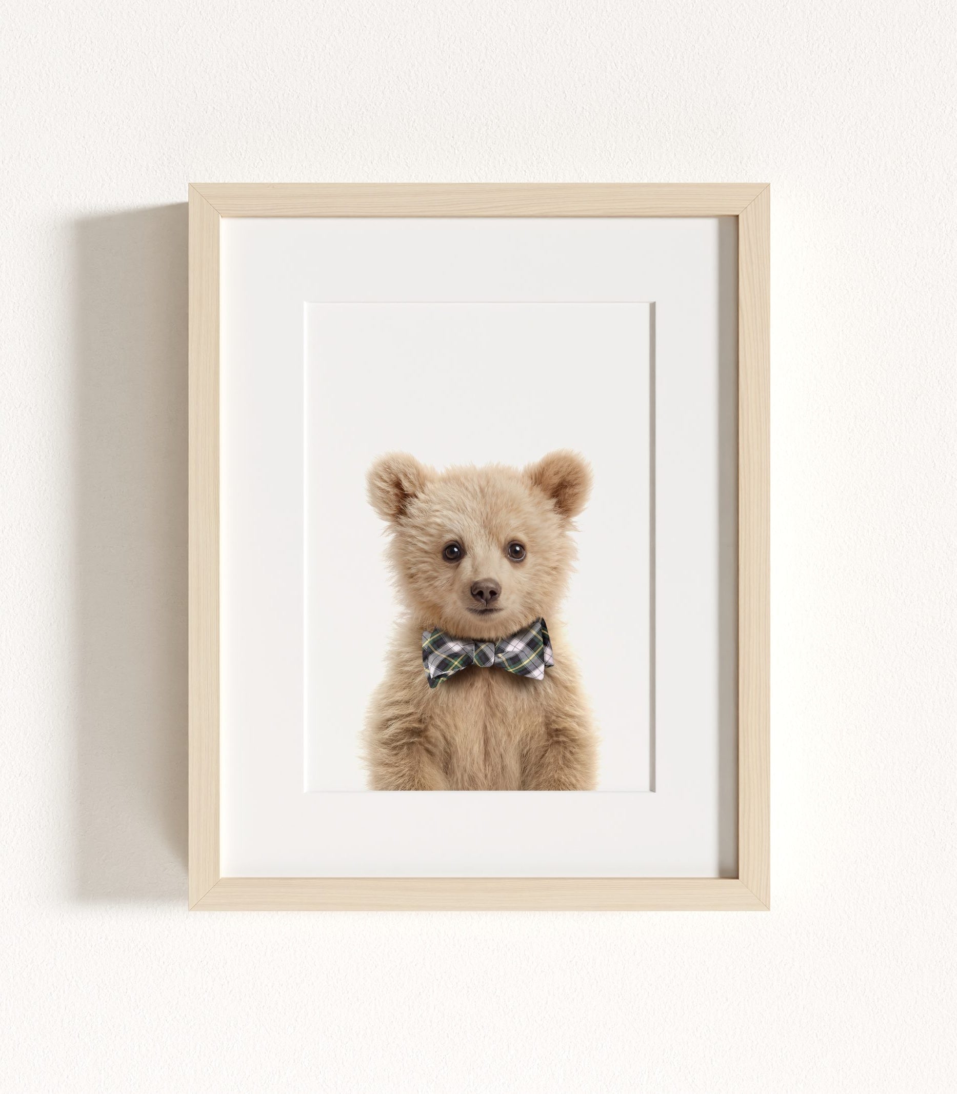 The Baby Animals 2026 Collection - Bow Ties