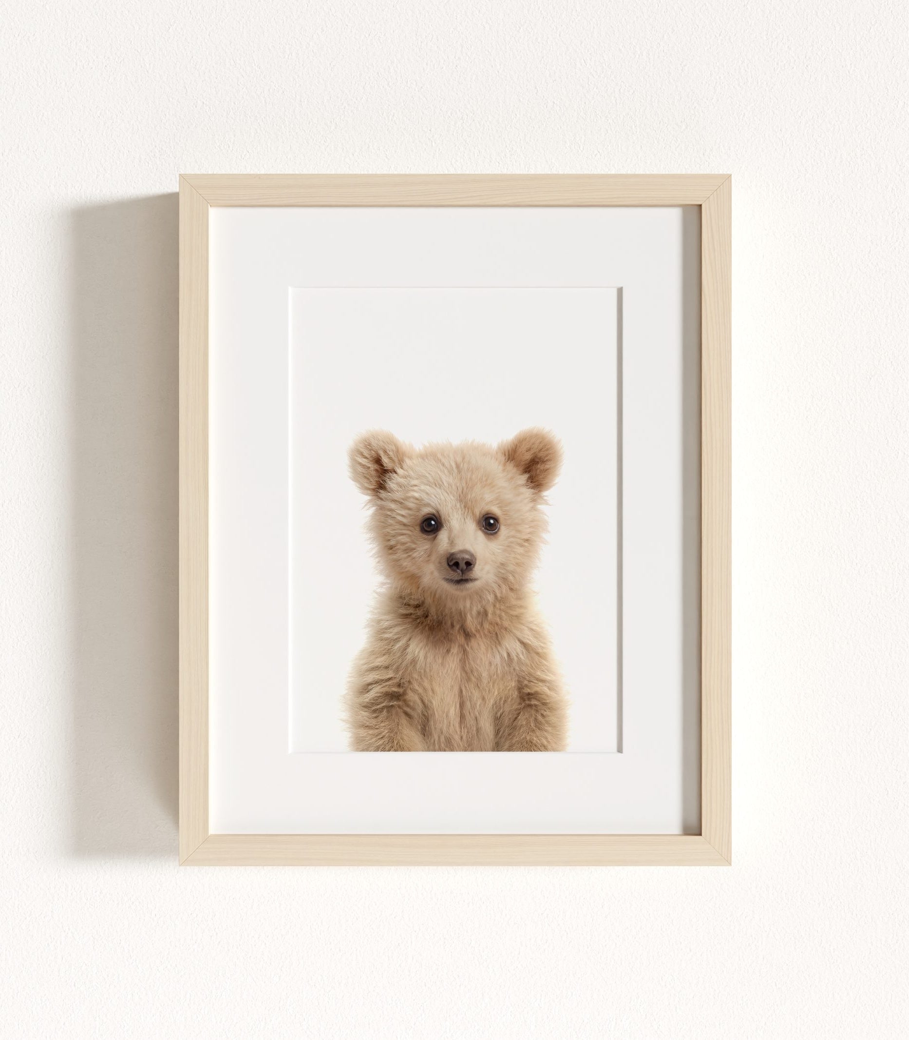 The Baby Animals 2026 Collection - Classic