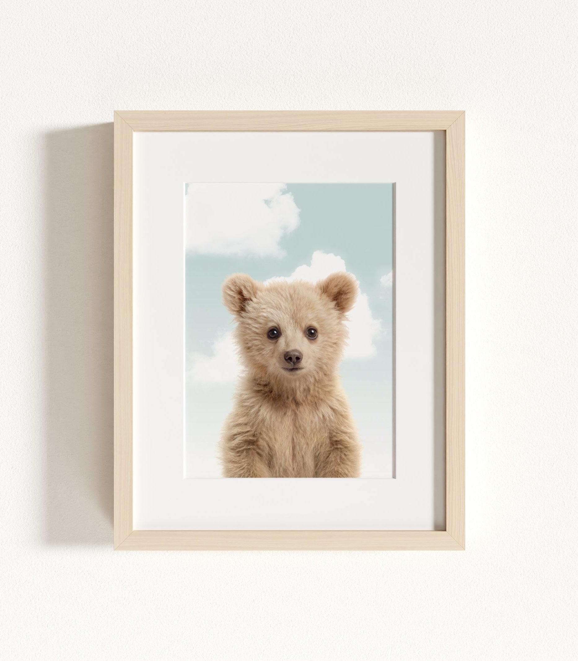 The Baby Animals 2026 Collection - Blue Skies