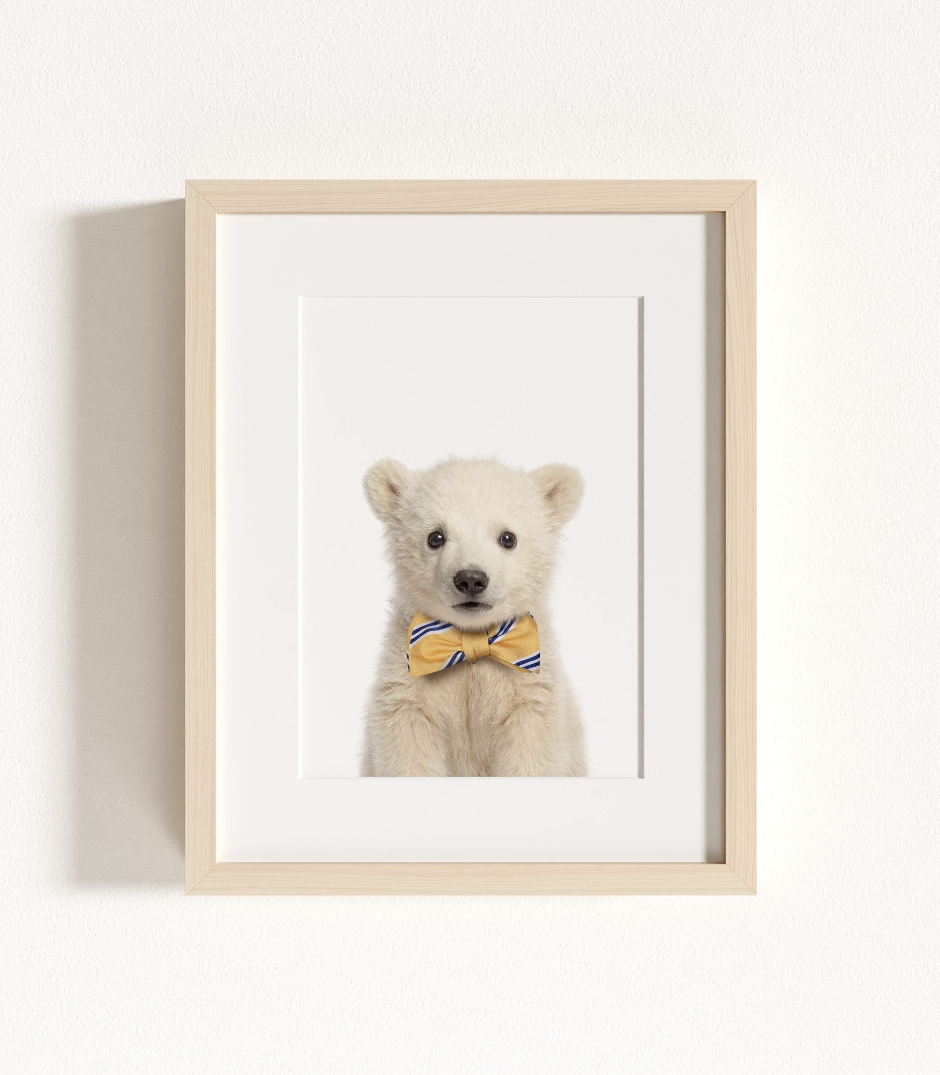 The Baby Animals 2026 Collection - Bow Ties