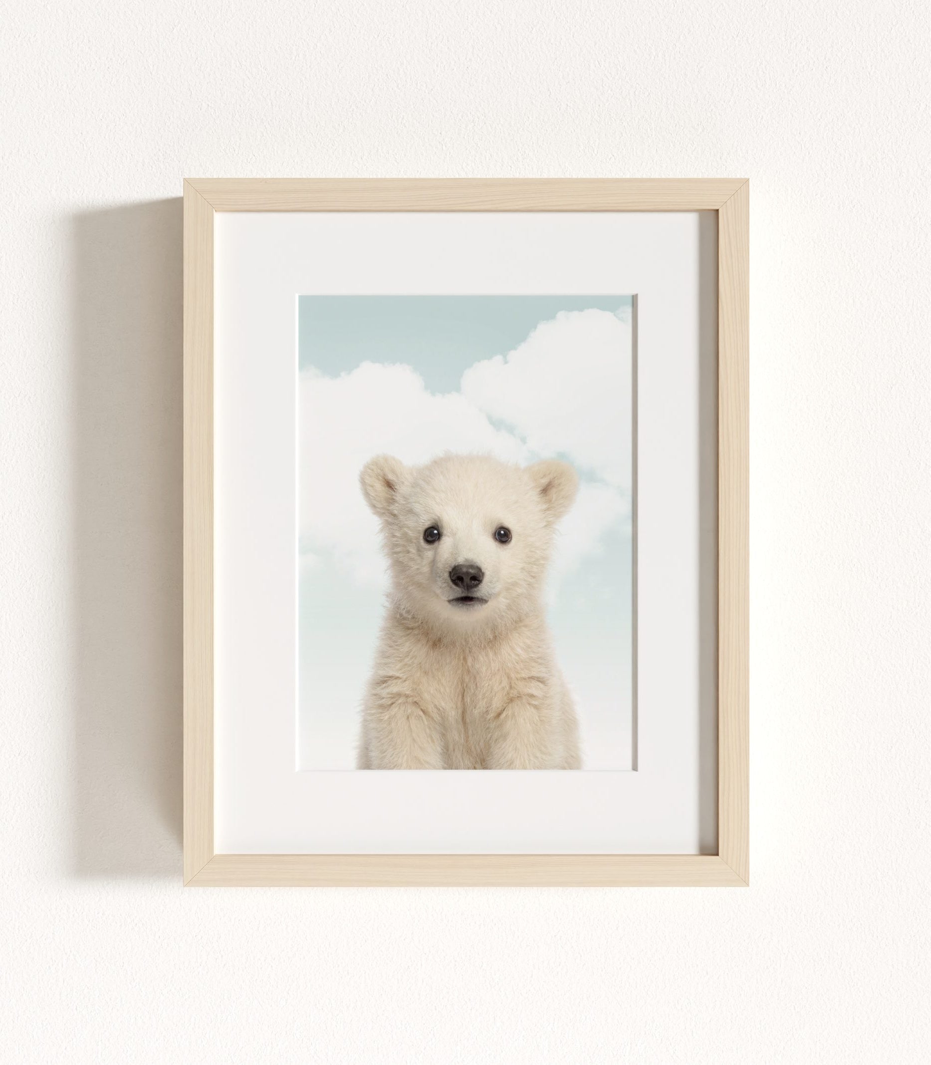 The Baby Animals 2026 Collection - Blue Skies