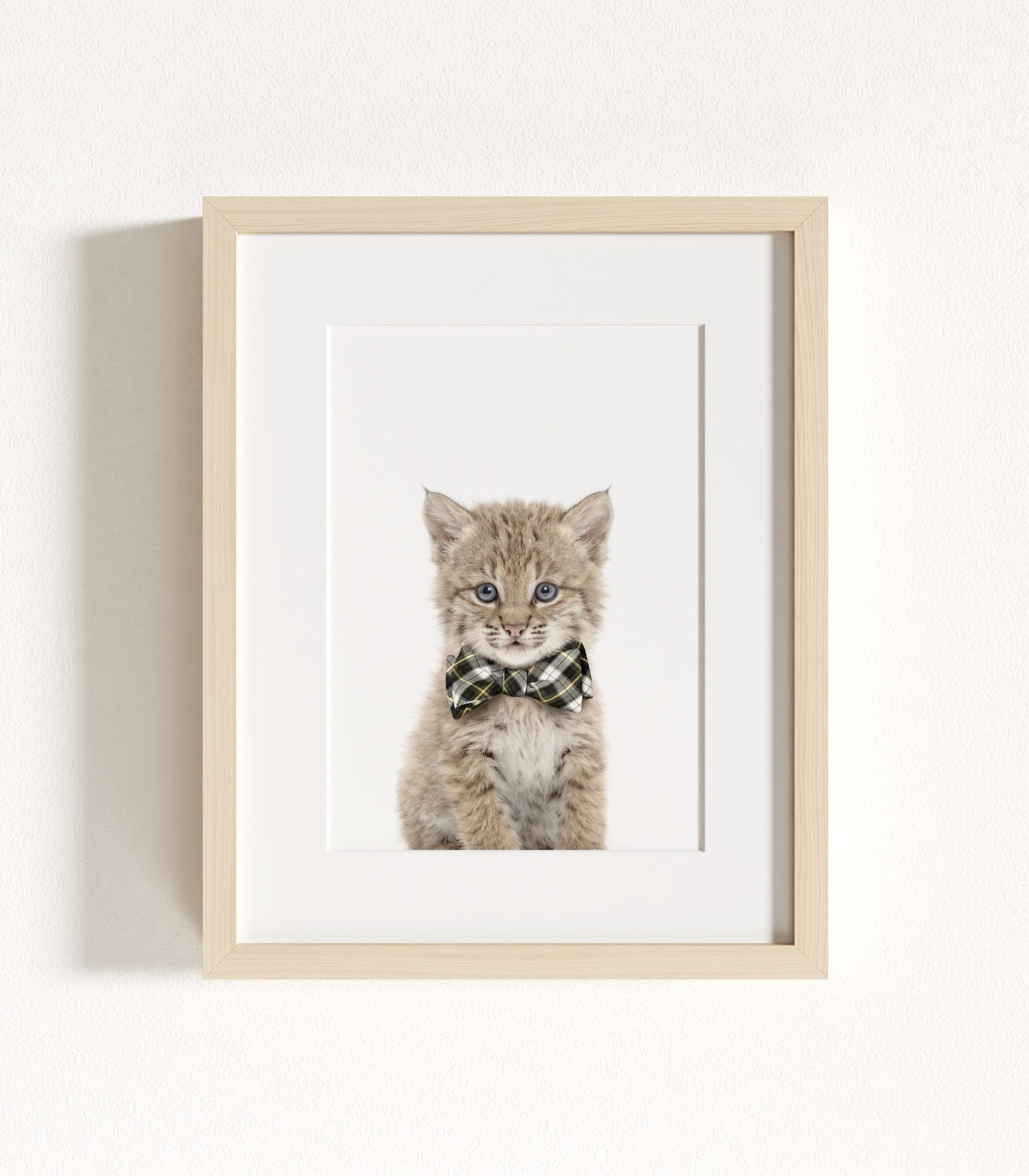 The Baby Animals 2026 Collection - Bow Ties