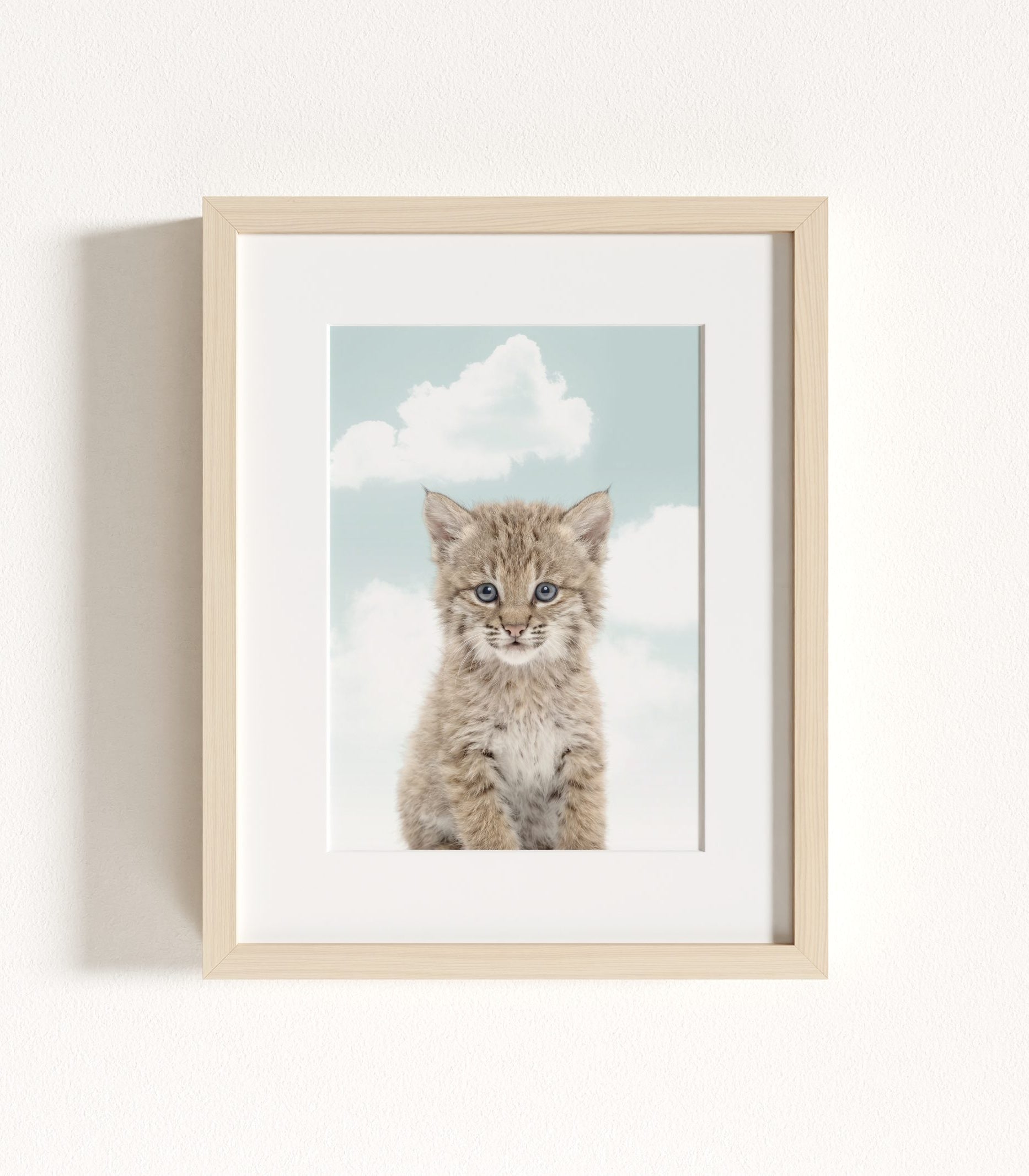 The Baby Animals 2026 Collection - Blue Skies