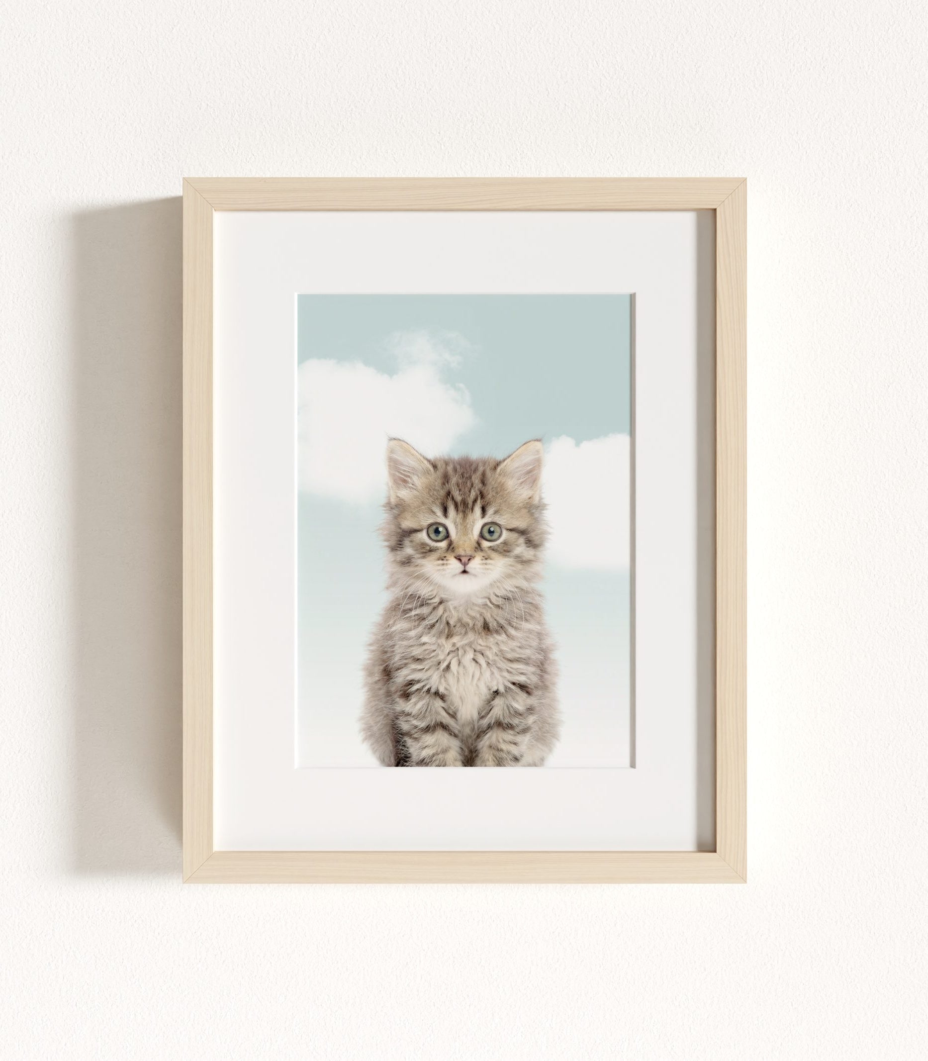 The Baby Animals 2026 Collection - Blue Skies