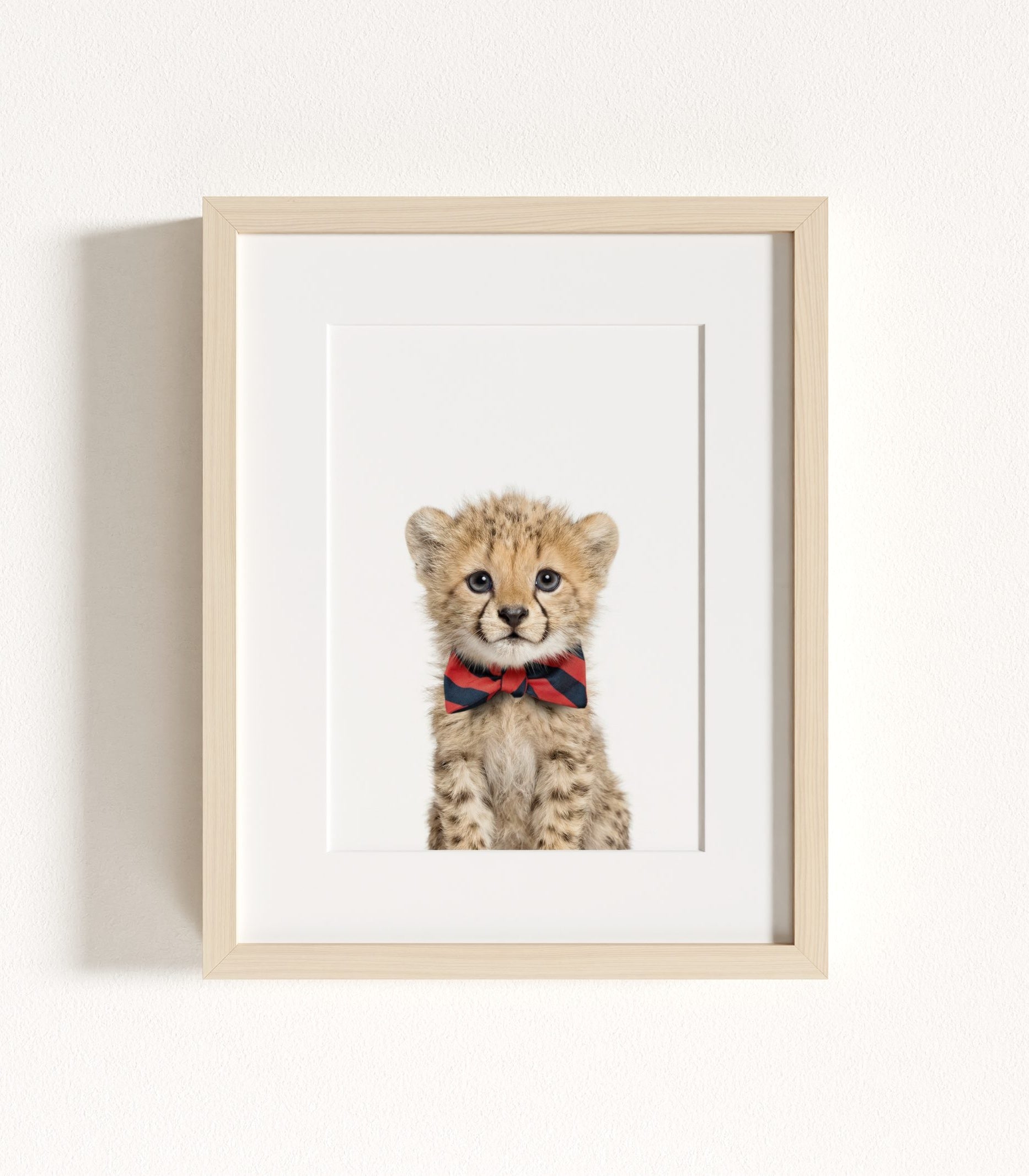 The Baby Animals 2026 Collection - Bow Ties