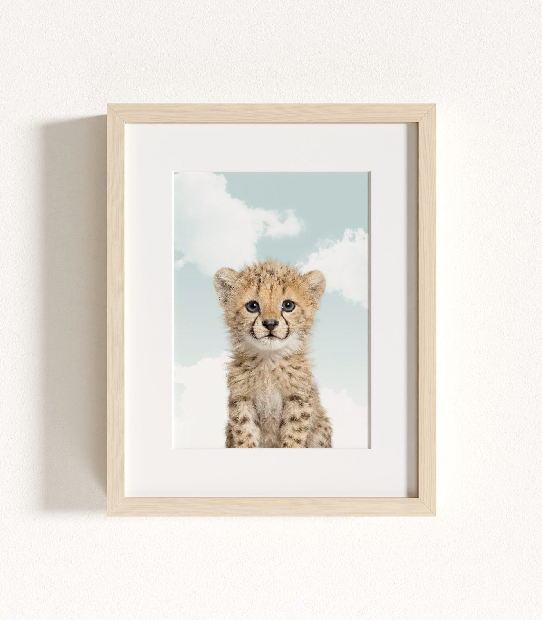 The Baby Animals 2026 Collection - Blue Skies