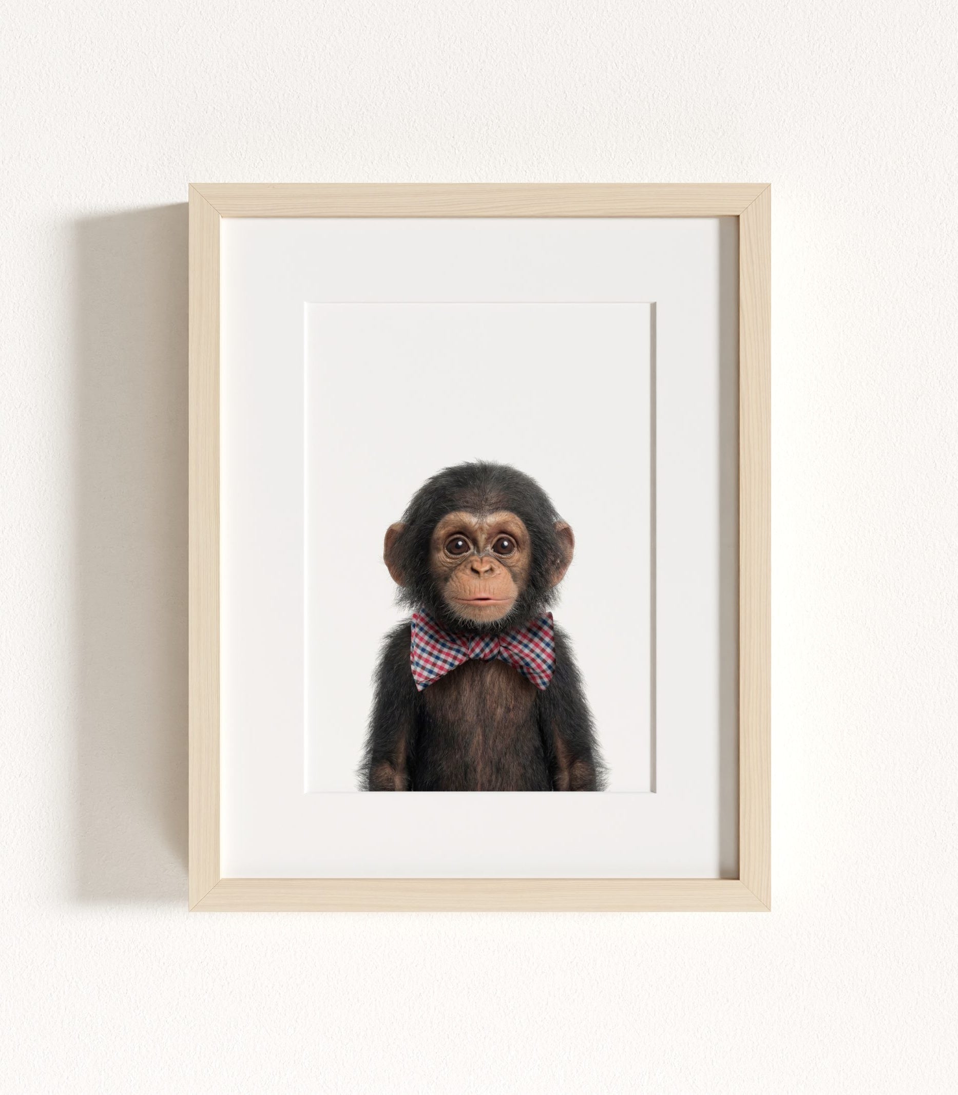 The Baby Animals 2026 Collection - Bow Ties