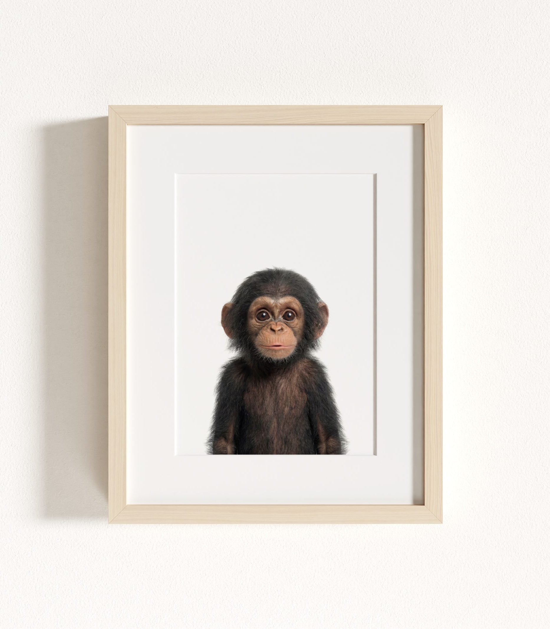 The Baby Animals 2026 Collection - Classic