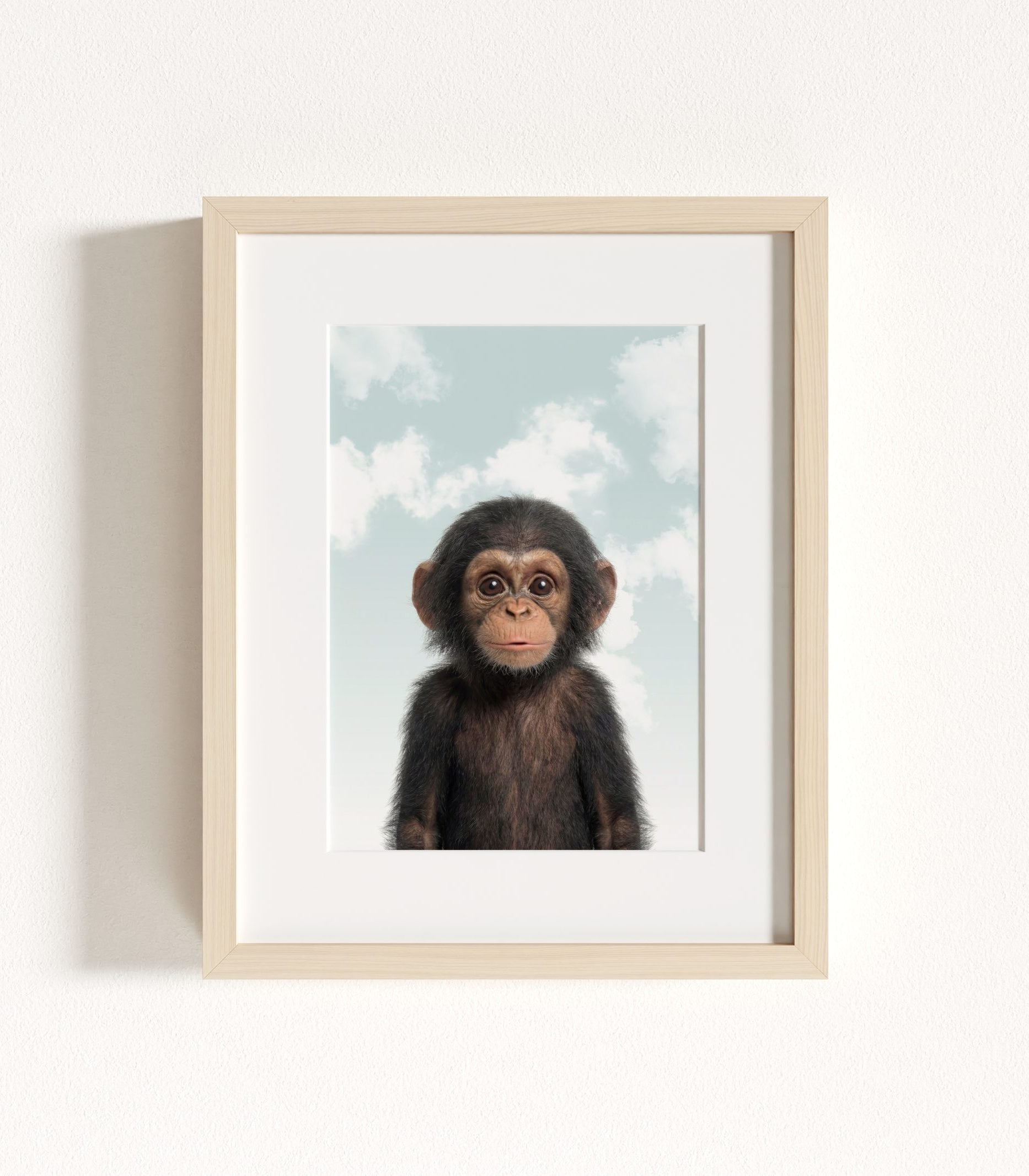 The Baby Animals 2026 Collection - Blue Skies