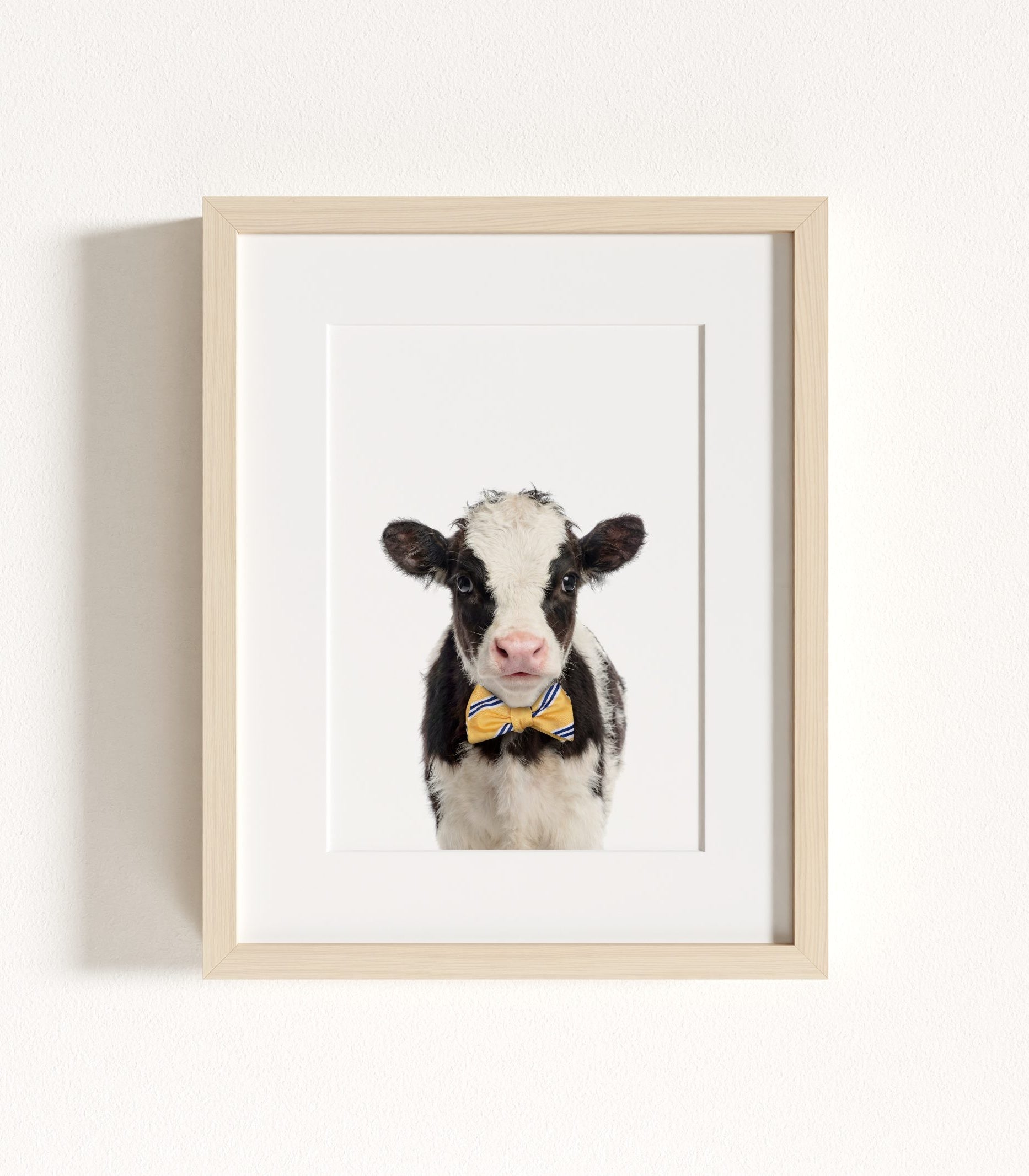 The Baby Animals 2026 Collection - Bow Ties