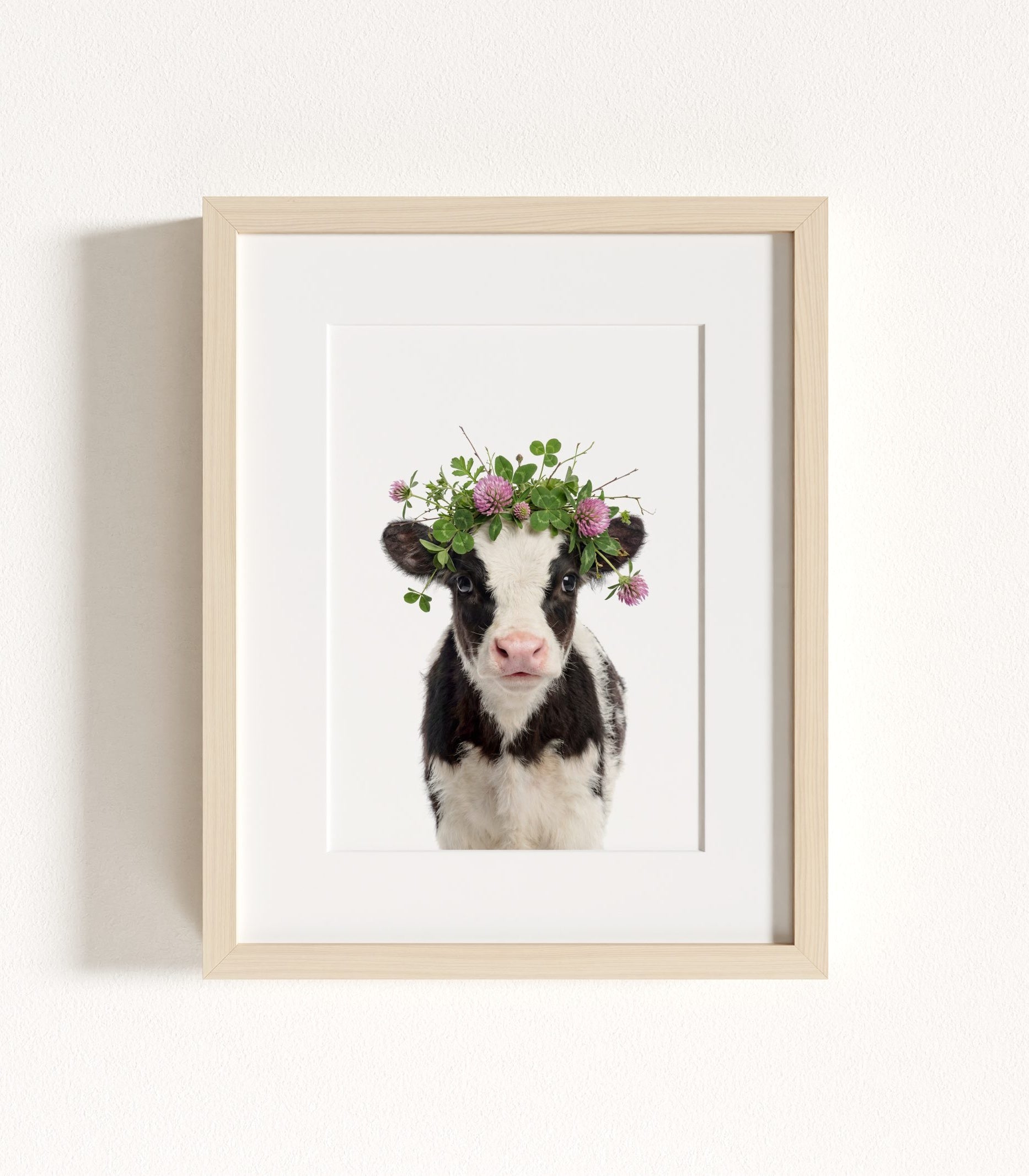 The Baby Animals 2026 Collection - Flower Crowns