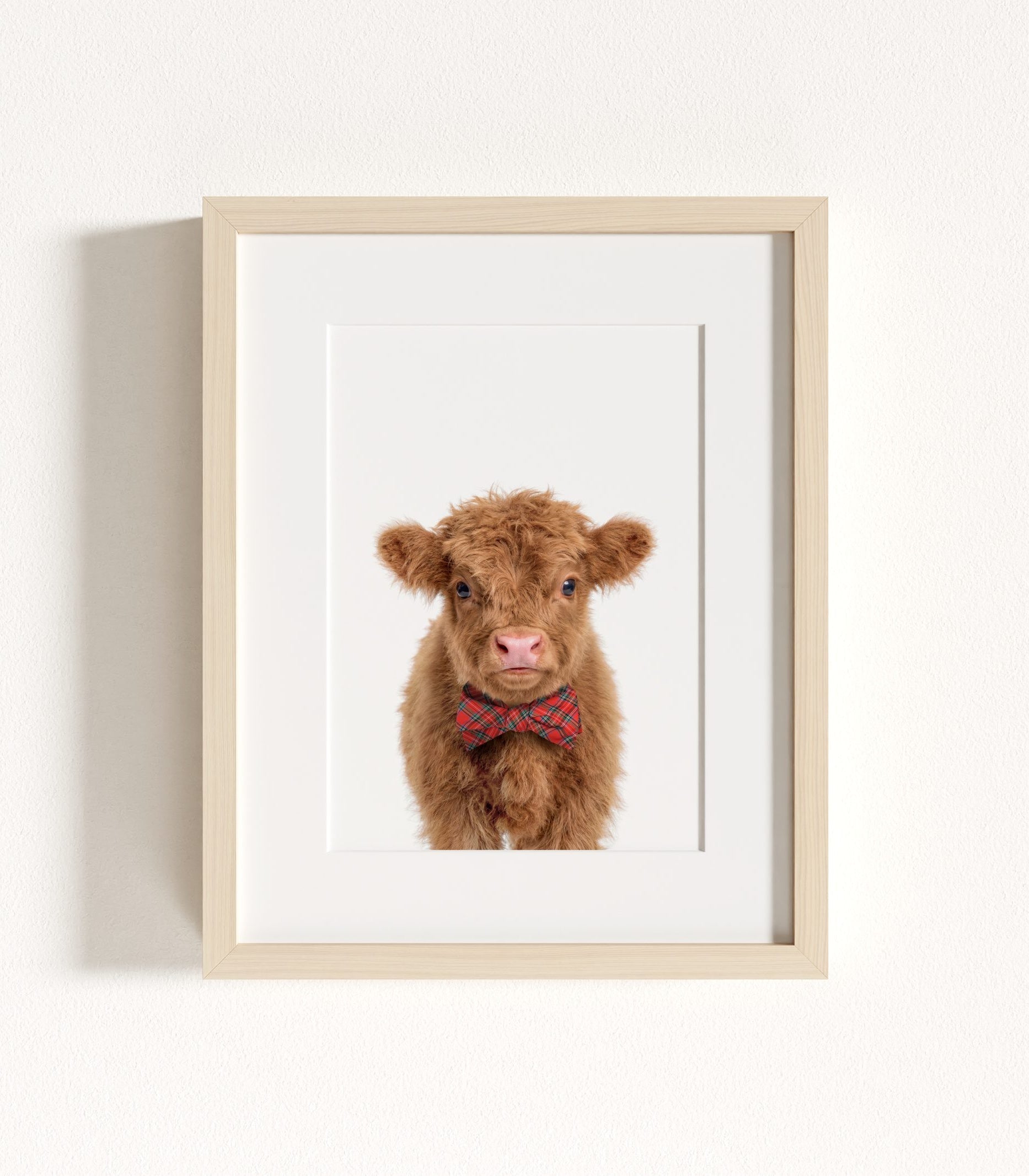 The Baby Animals 2026 Collection - Bow Ties