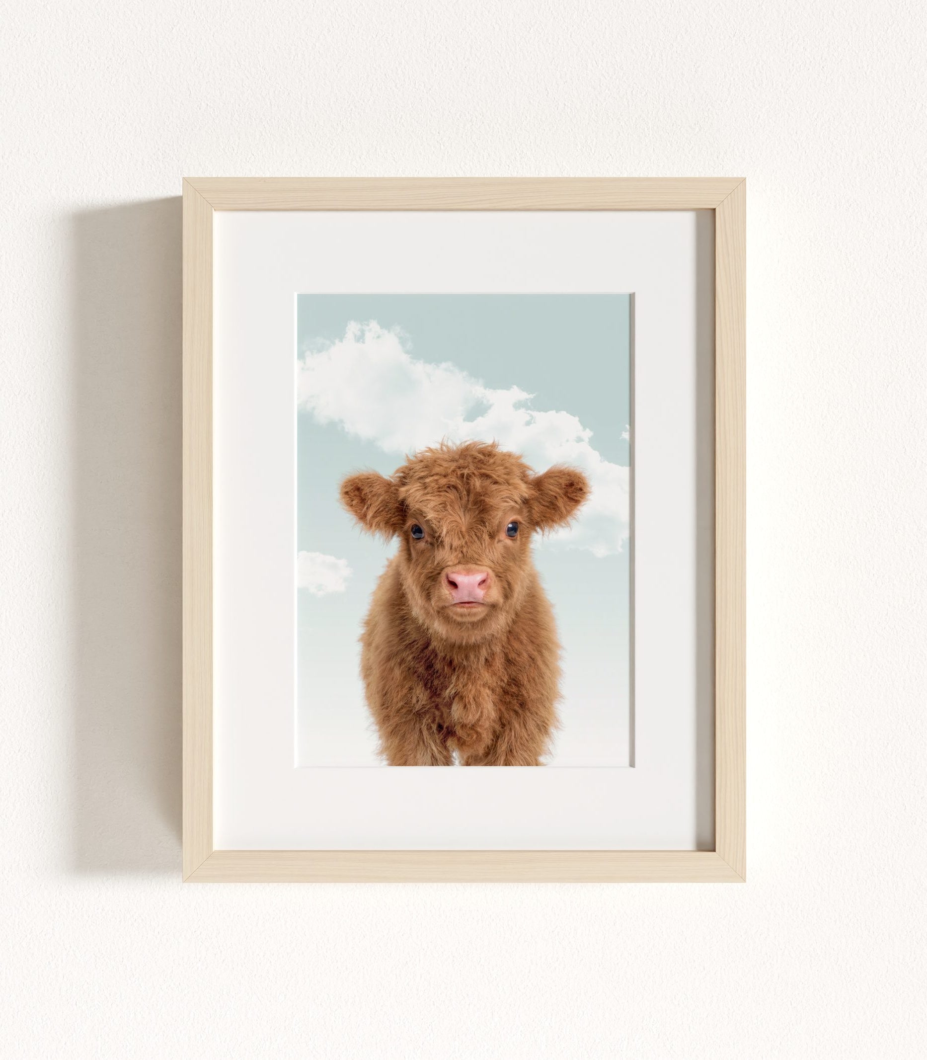 The Baby Animals 2026 Collection - Blue Skies