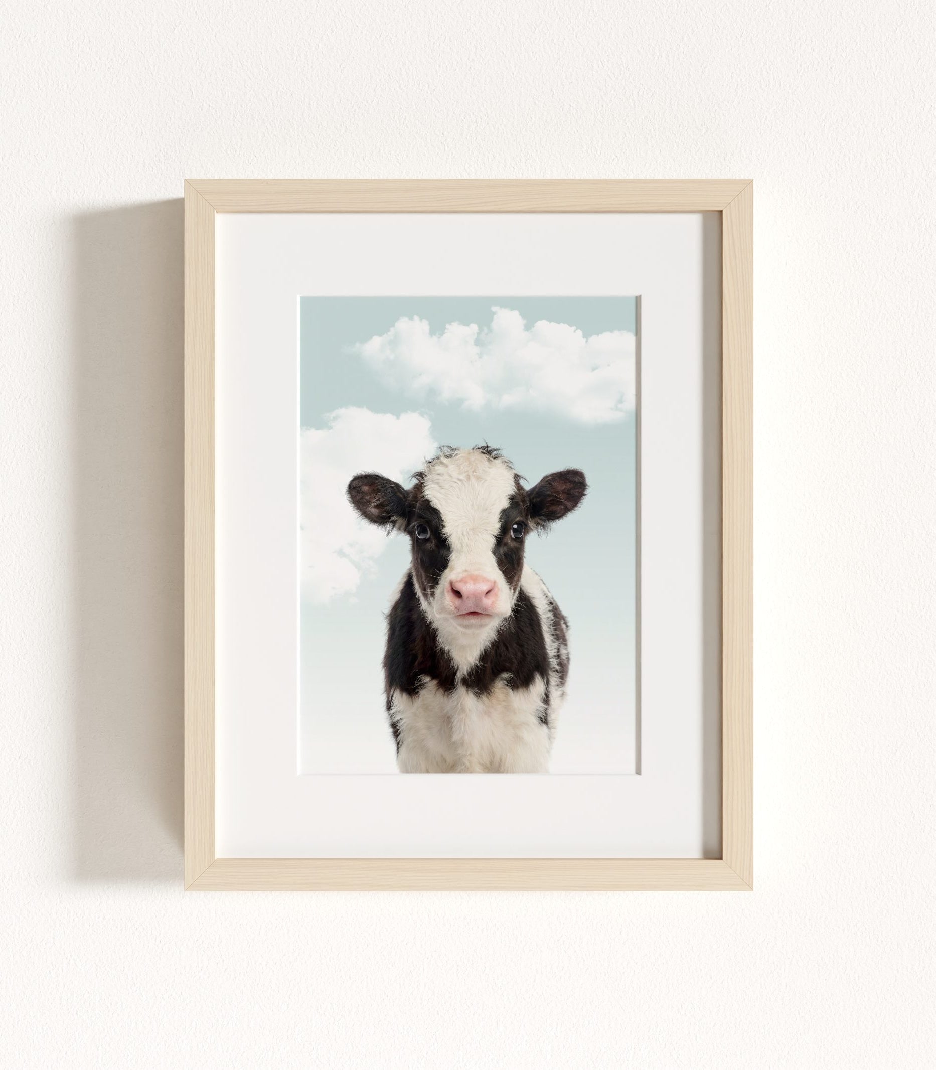 The Baby Animals 2026 Collection - Blue Skies