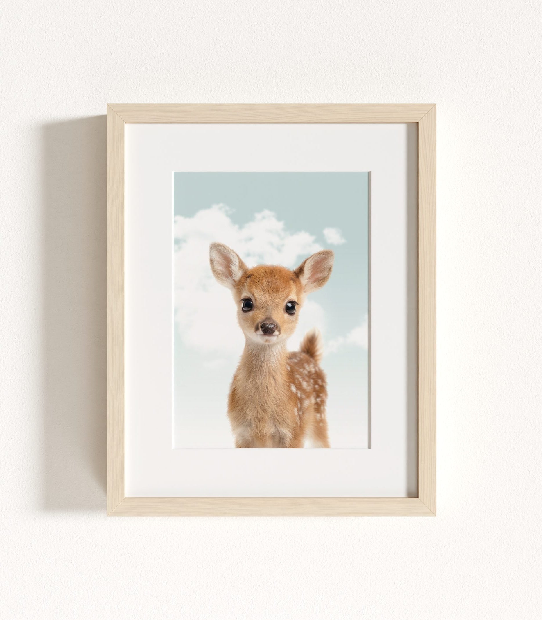The Baby Animals 2026 Collection - Blue Skies