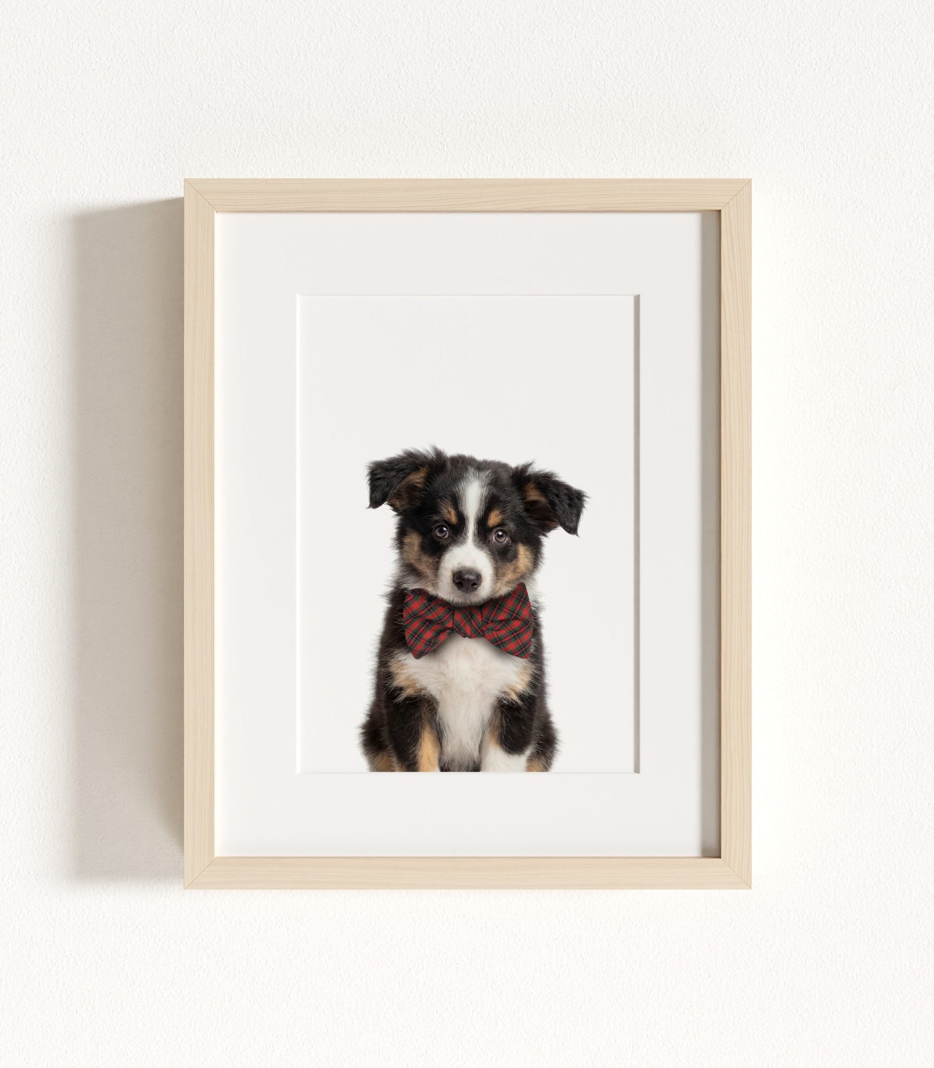 The Baby Animals 2026 Collection - Bow Ties