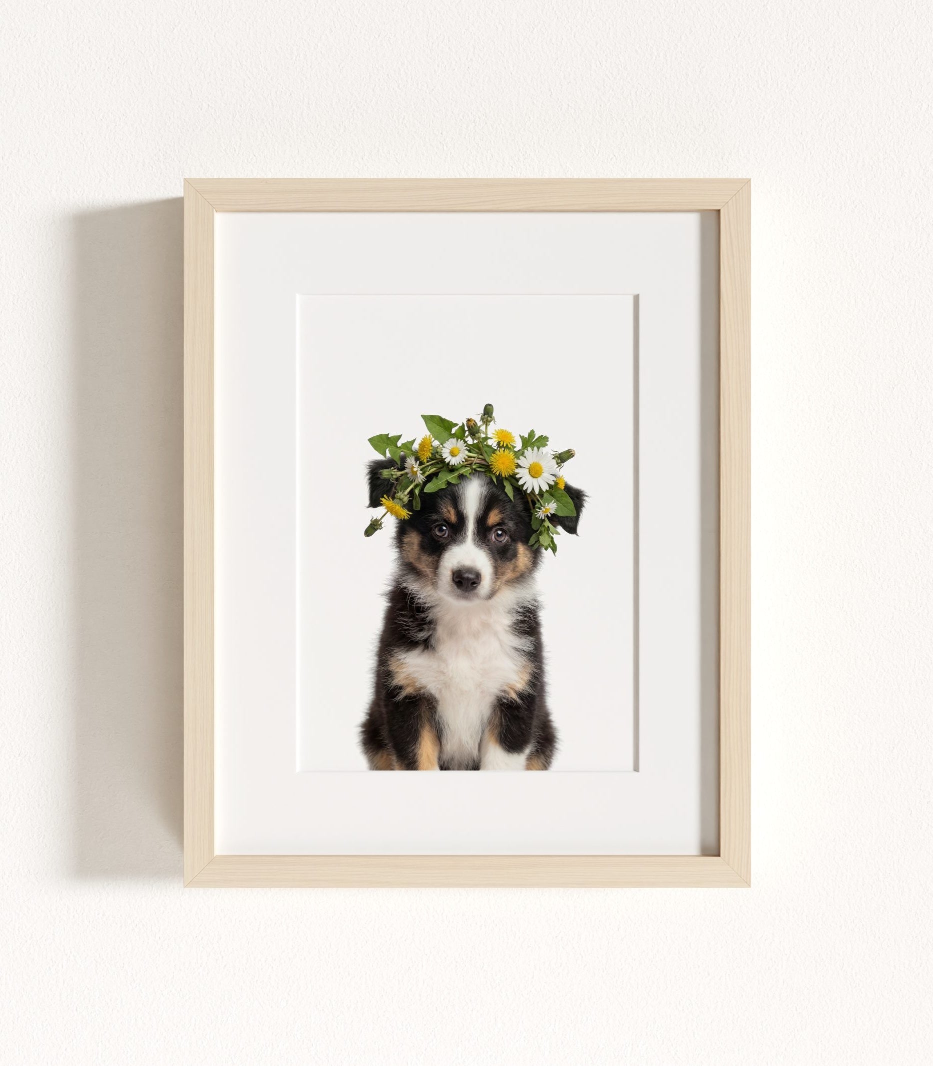 The Baby Animals 2026 Collection - Flower Crowns