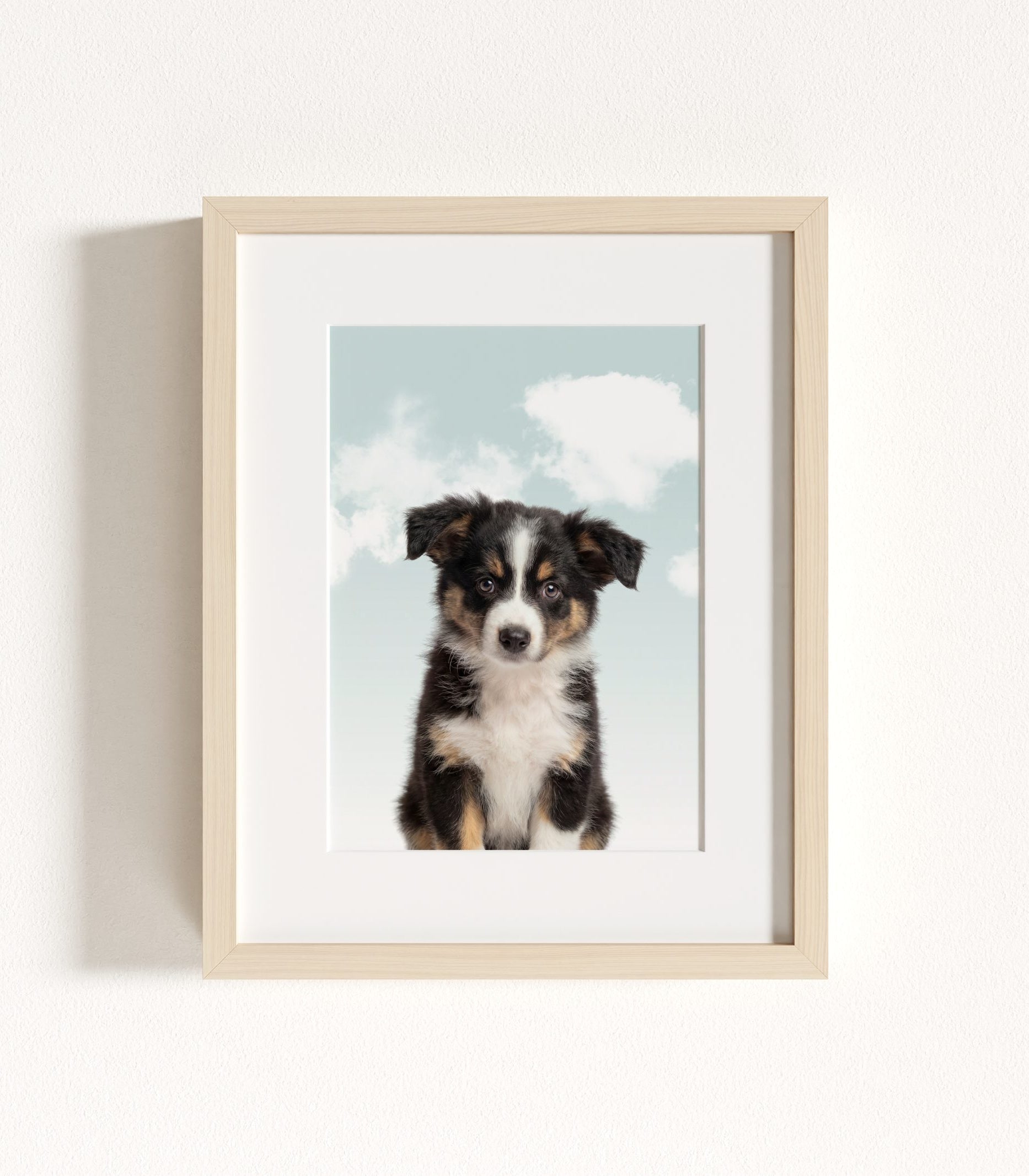 The Baby Animals 2026 Collection - Blue Skies