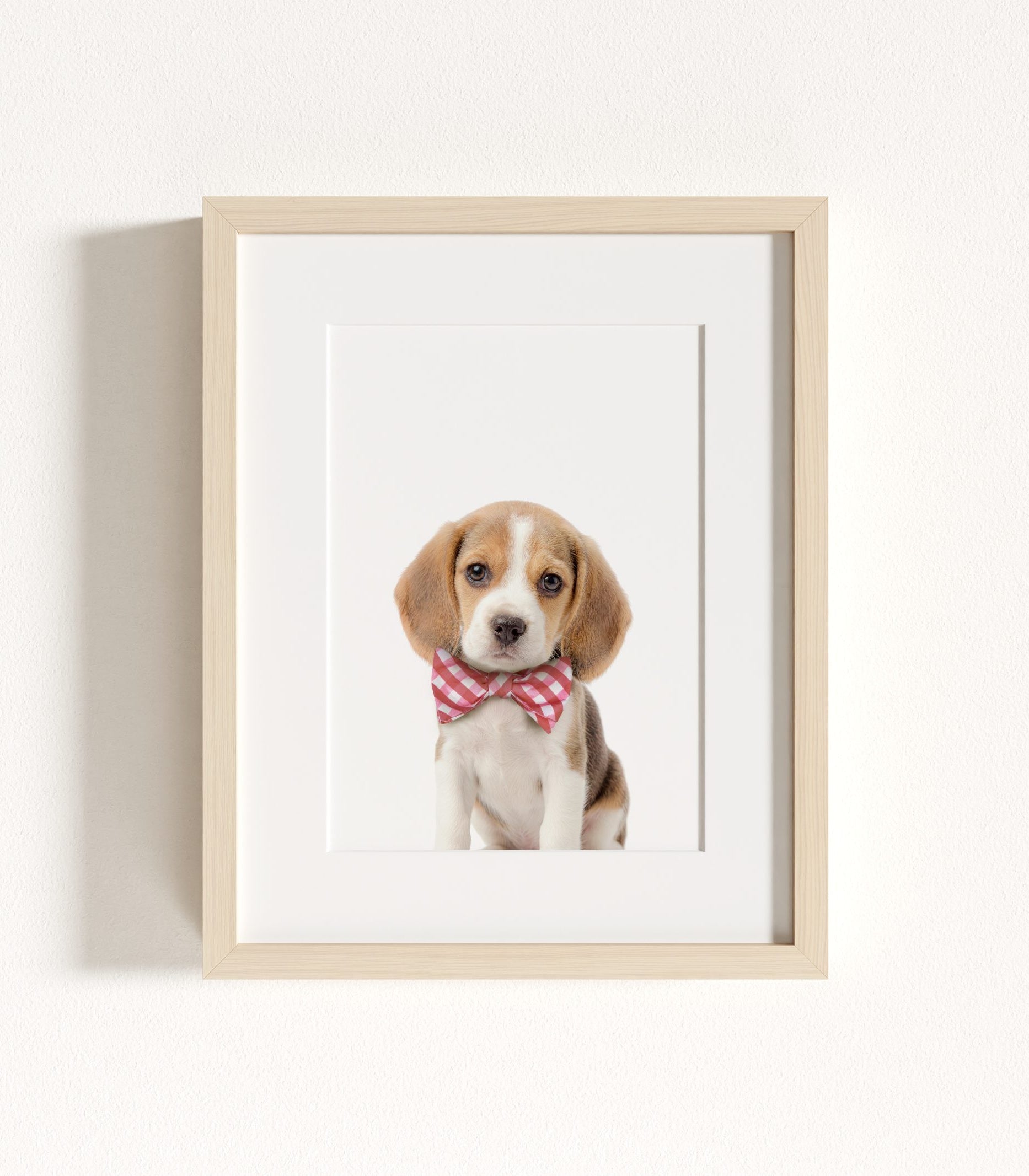 The Baby Animals 2026 Collection - Bow Ties