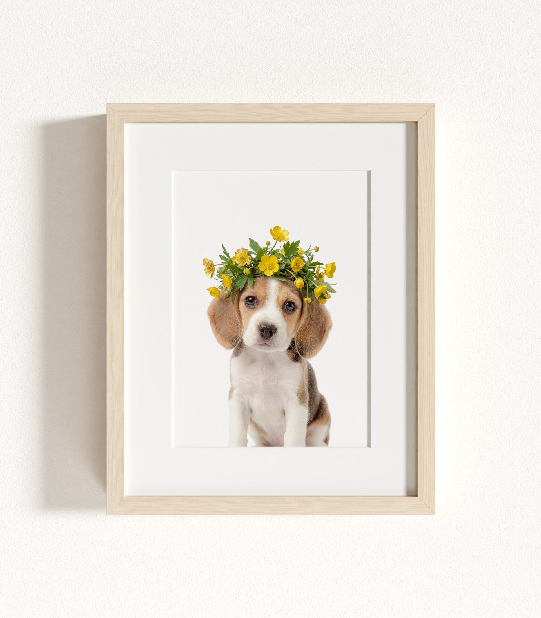 The Baby Animals 2026 Collection - Flower Crowns