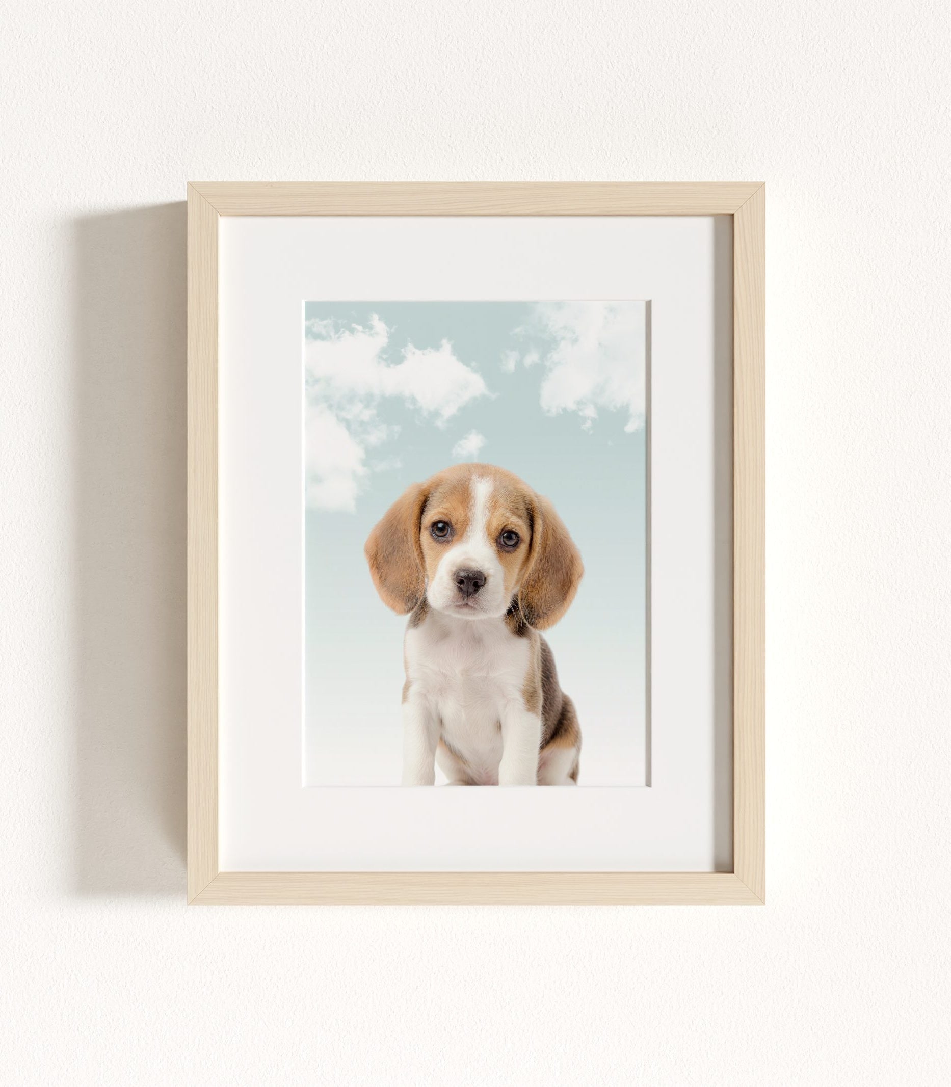 The Baby Animals 2026 Collection - Blue Skies