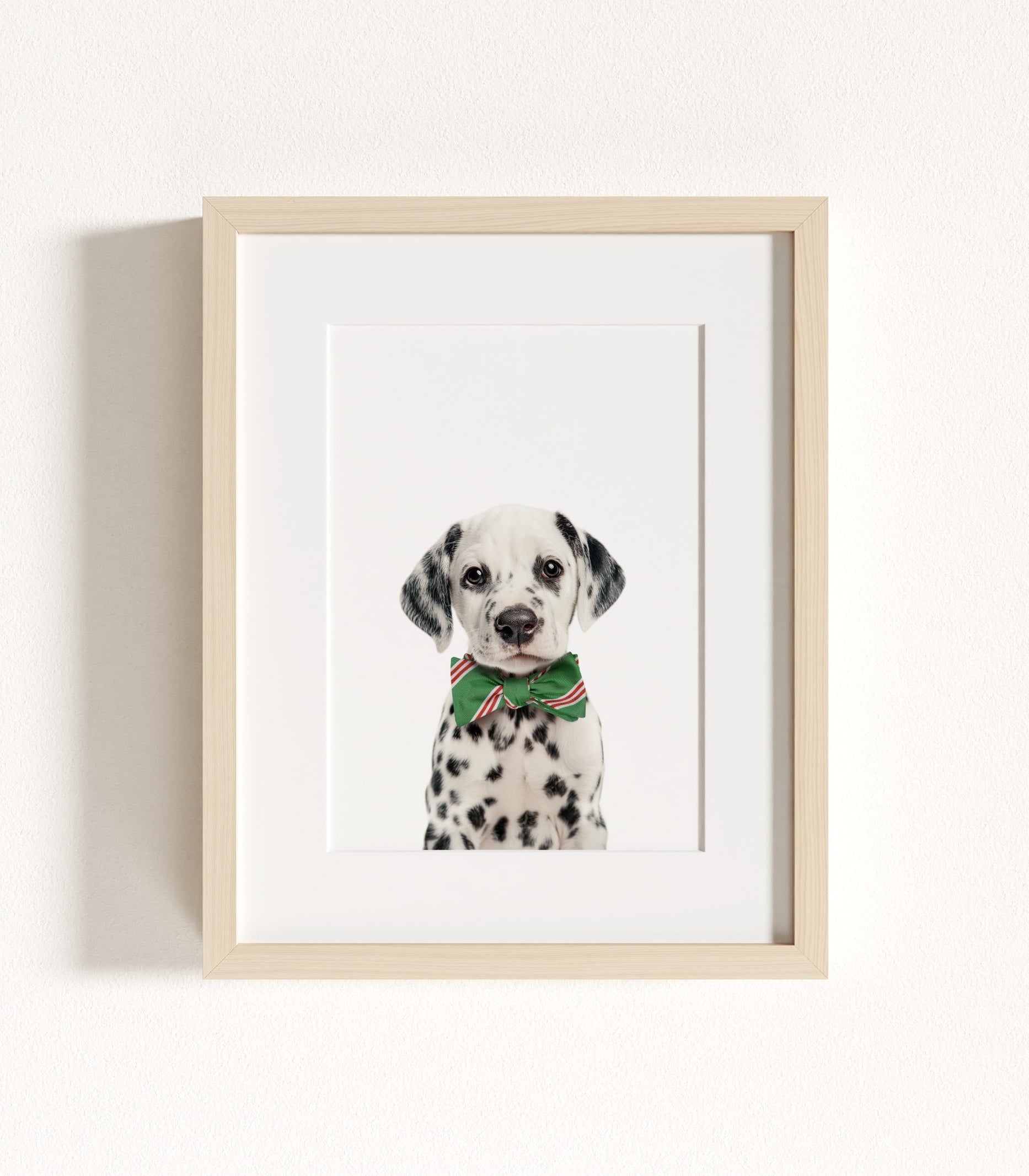 The Baby Animals 2026 Collection - Bow Ties