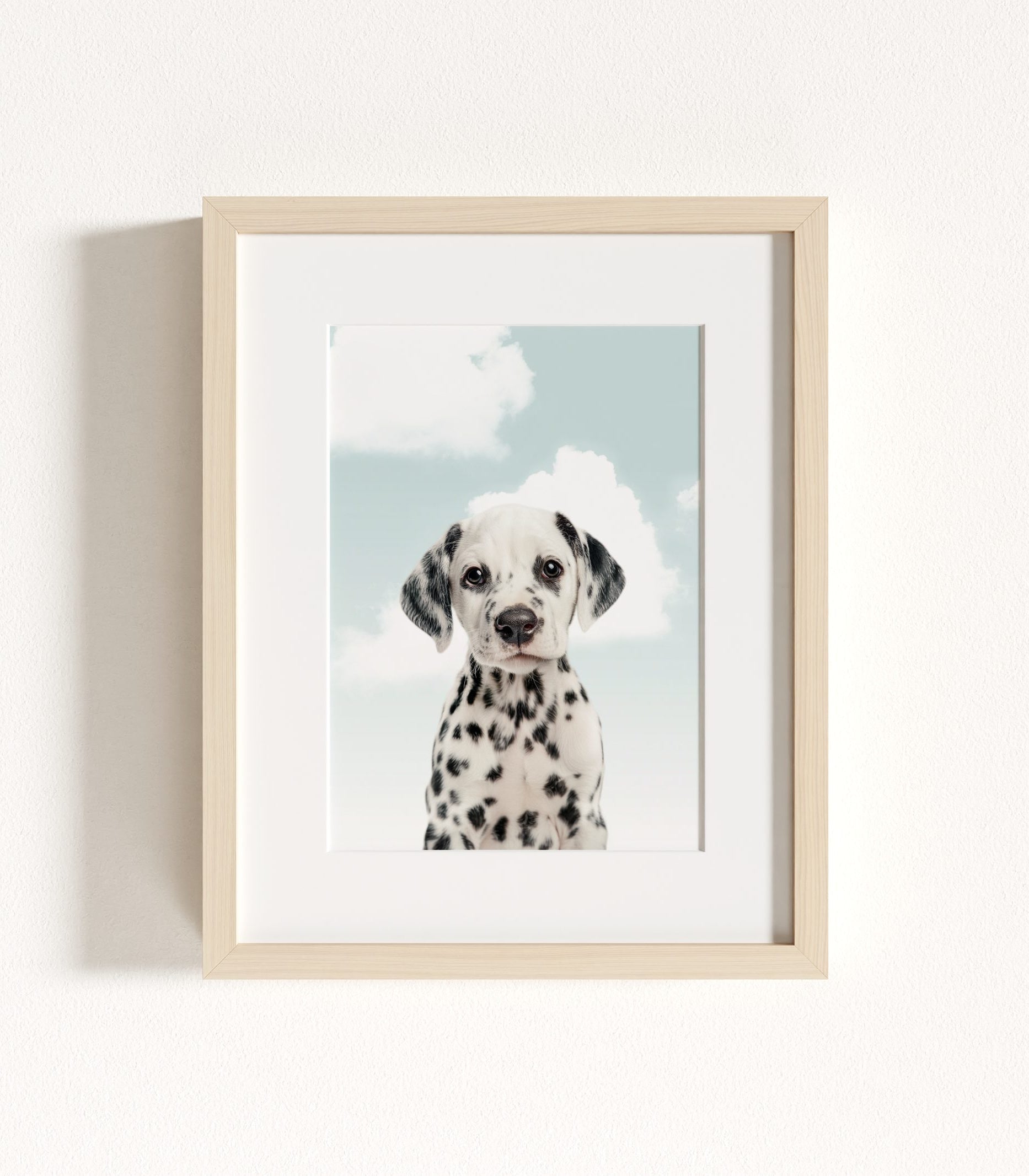 The Baby Animals 2026 Collection - Blue Skies