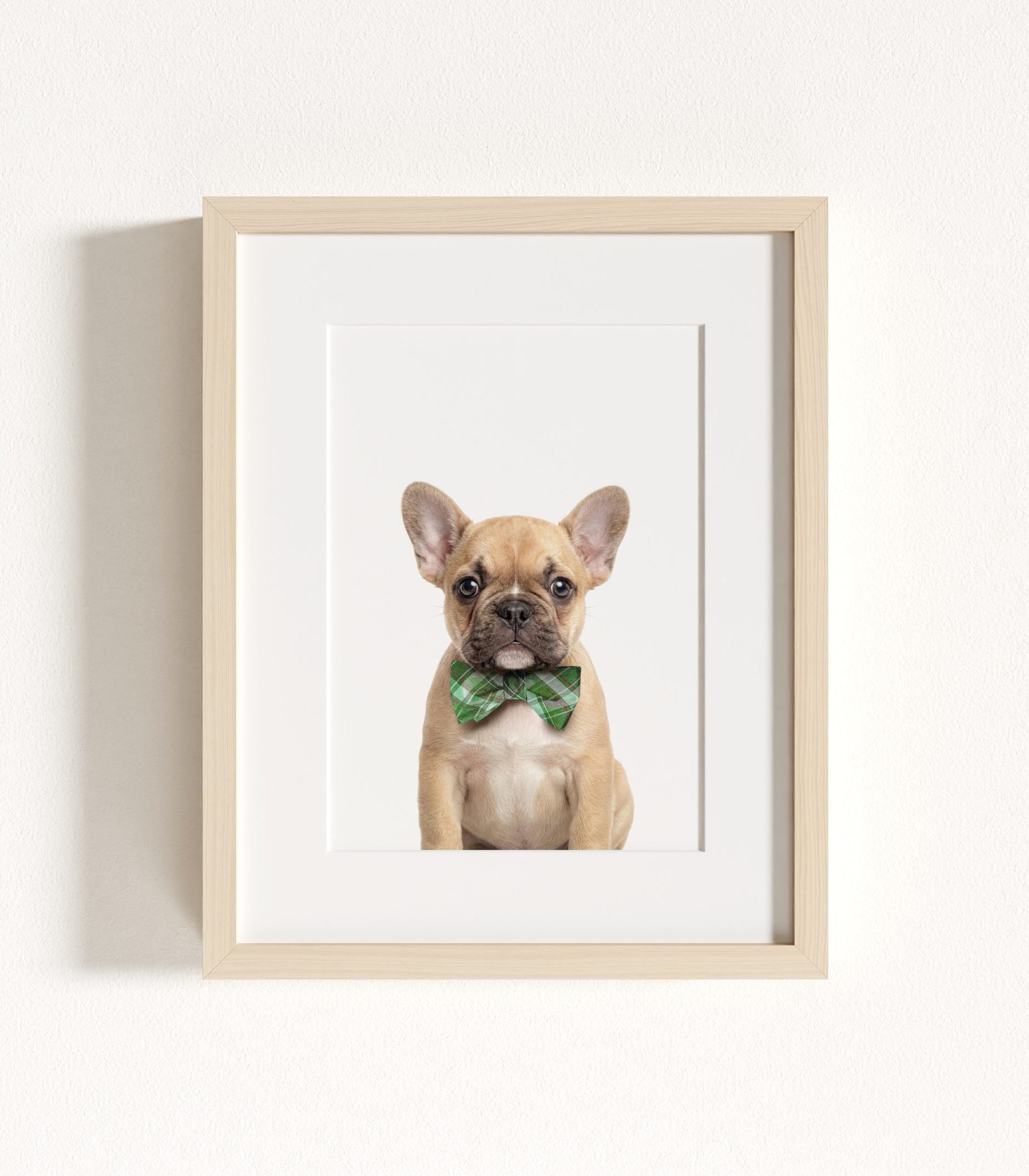 The Baby Animals 2026 Collection - Bow Ties