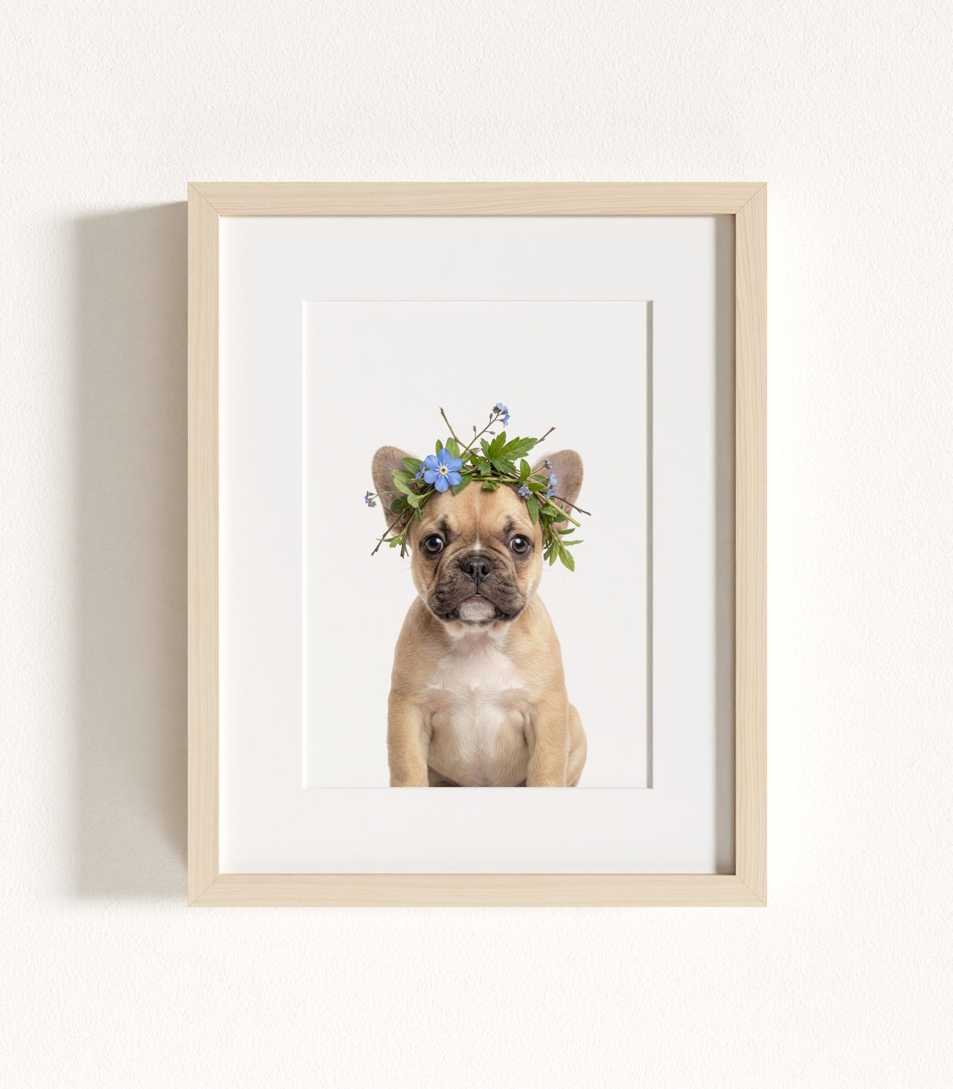 The Baby Animals 2026 Collection - Flower Crowns
