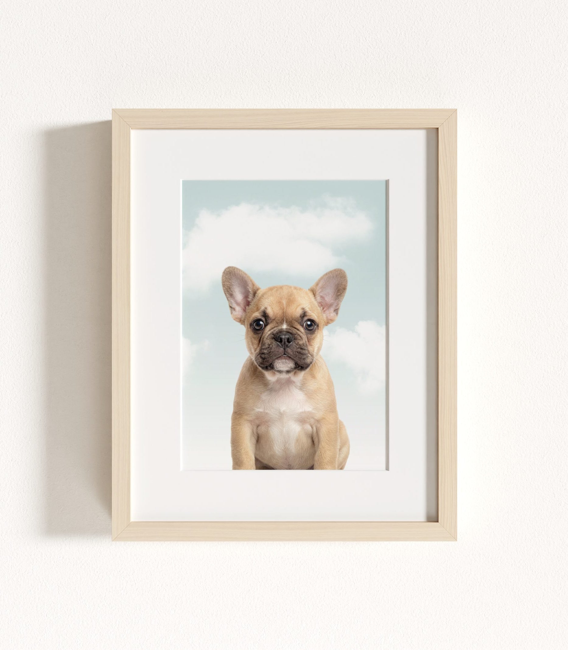 The Baby Animals 2026 Collection - Blue Skies